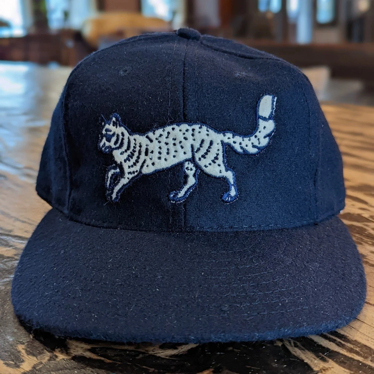 FMH Ball Cap — Foxfire Mountain House