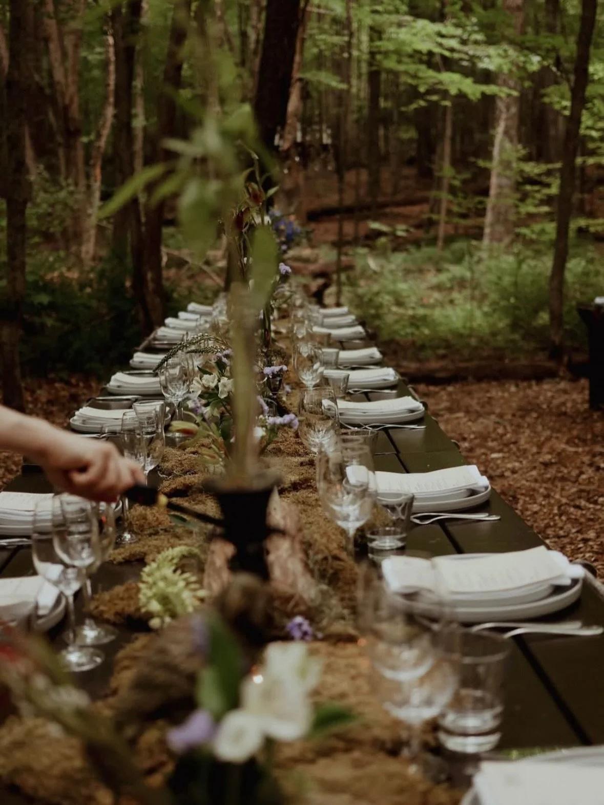 The view from here lately&hellip;our next In The Wild forest dinner is August 24. Then Sept 14, don&rsquo;t miss our special dinner and screening of The Grand Budapest Hotel. Tickets are available through the link in profile. 
.
.
.
📷 @folkmagazine 