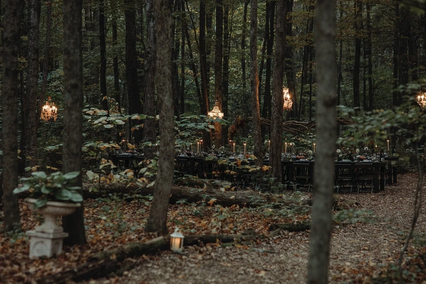 In The Wild forest feast was such a beautiful September night under the stars and nestled within the hushed woods! Our thanks to @jennyfrancois @lrrinaldi 🍷and @palomamelestudio 🌿 for adding to the magic! Our in The Wild dinners will be back in the