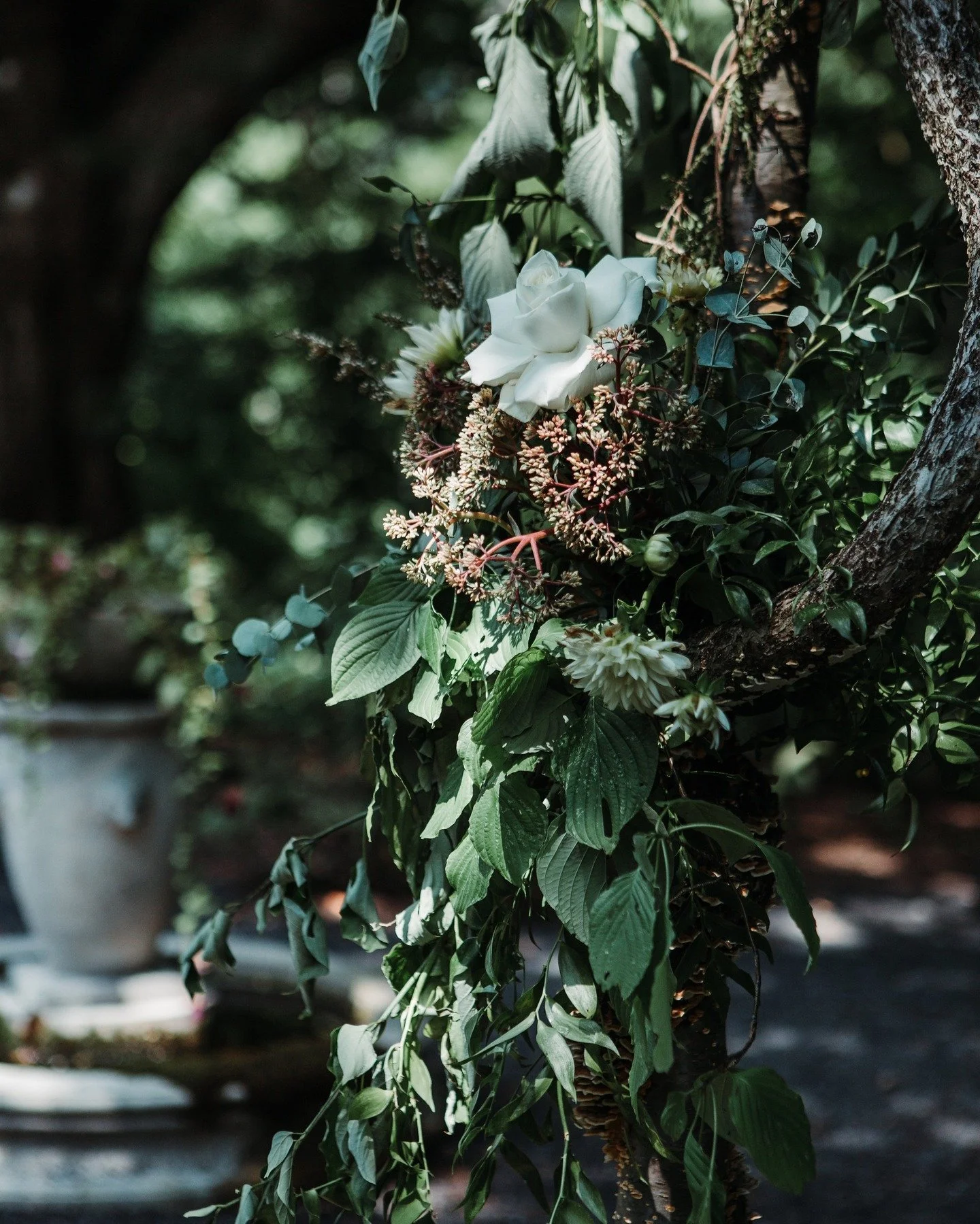 Spring is almost here! 🌿

It's just three weeks before our wedding season begins. 

That means just three more chances to settle in for a full weekend with us&mdash;slow mornings, long dinners, and Fridays &amp; Saturdays at the restaurant. 
Startin