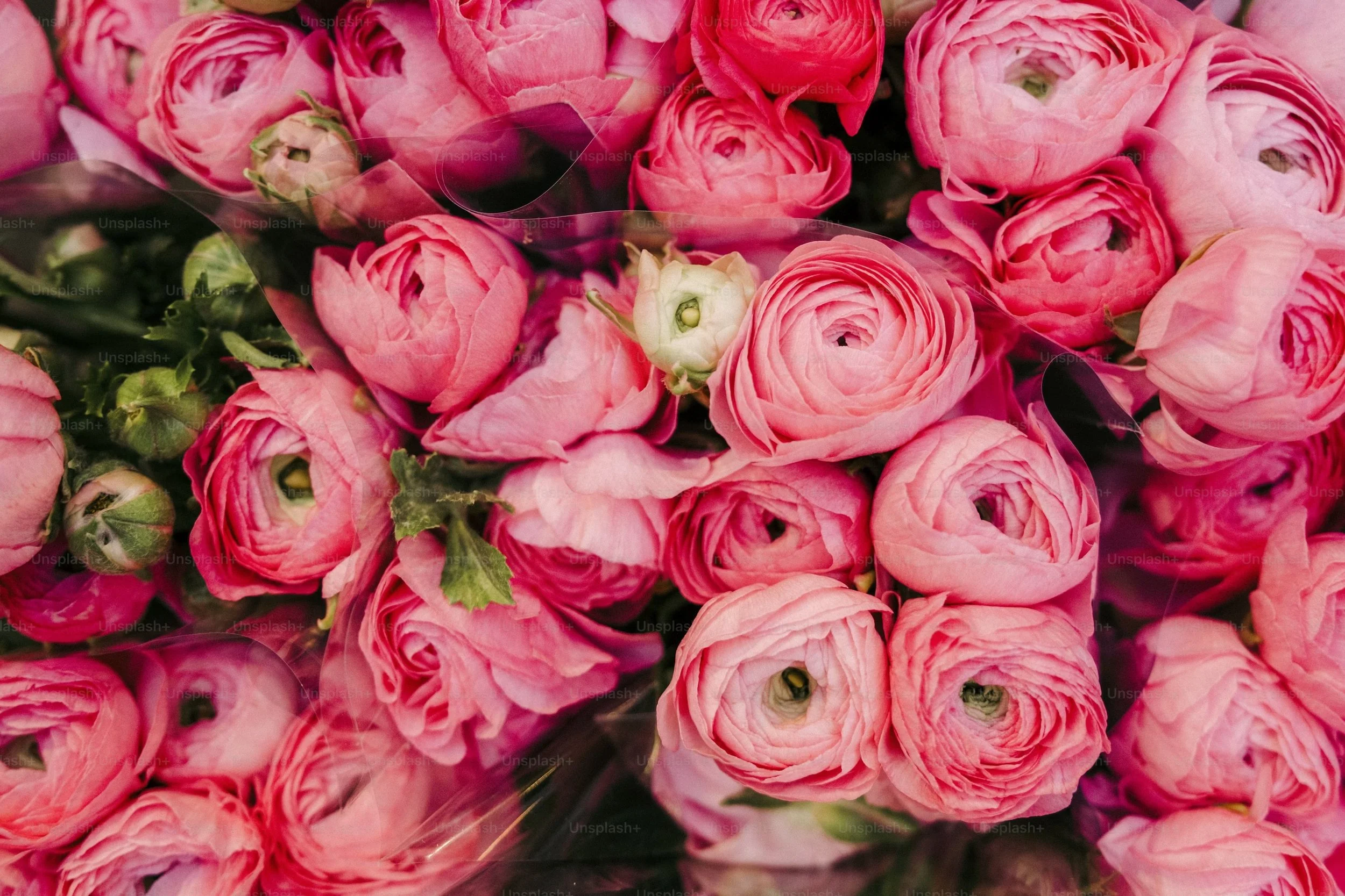 Advent: Daring Assertions of Love in an Insecure Age