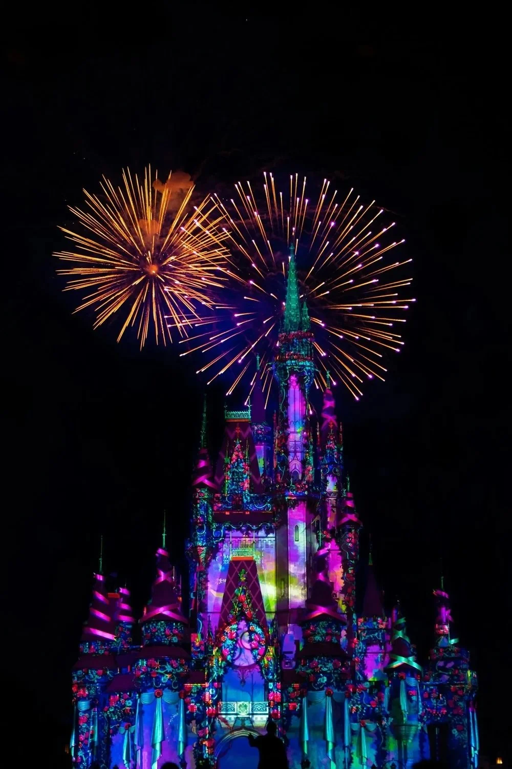 Missiology From the Borderlands: Musings on Reality from the Happiest Place on Earth