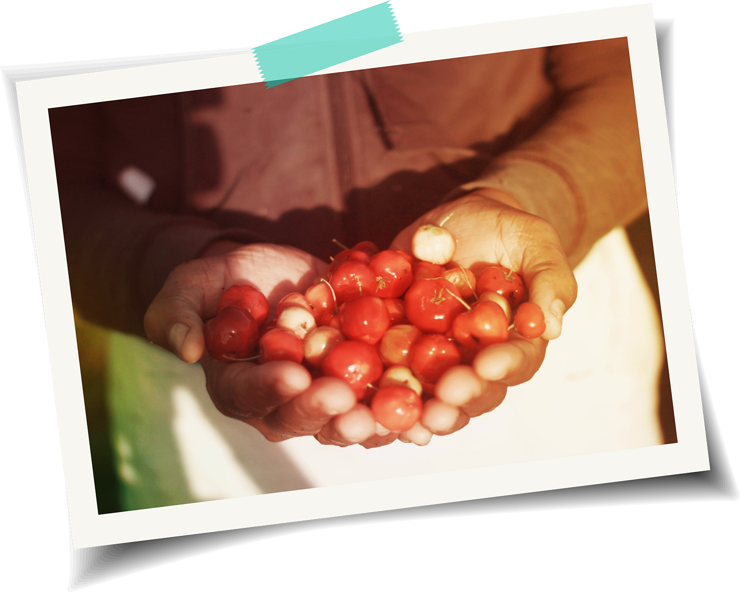 farmer_acerola_sm.png