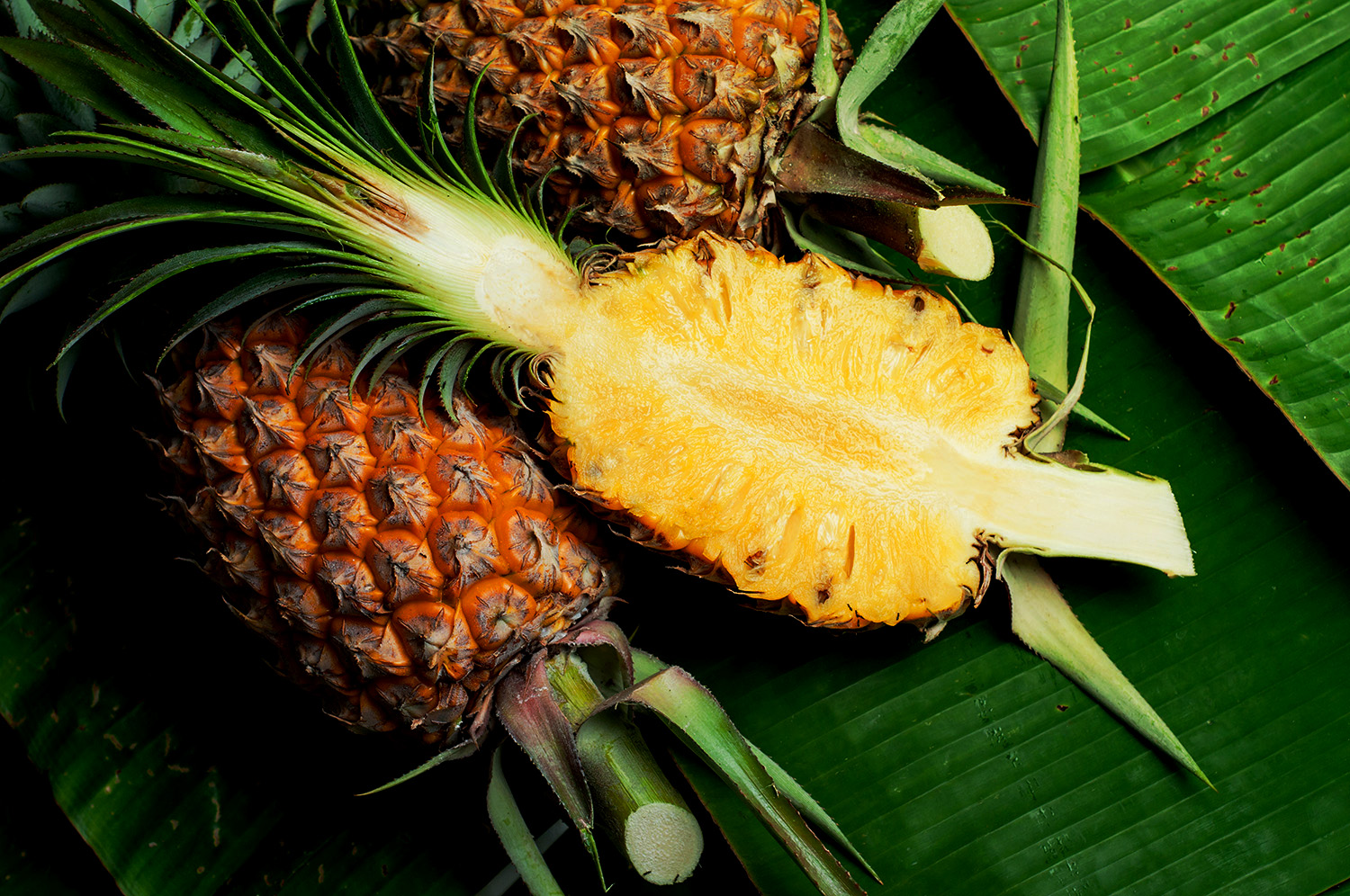 pineapple4.jpg