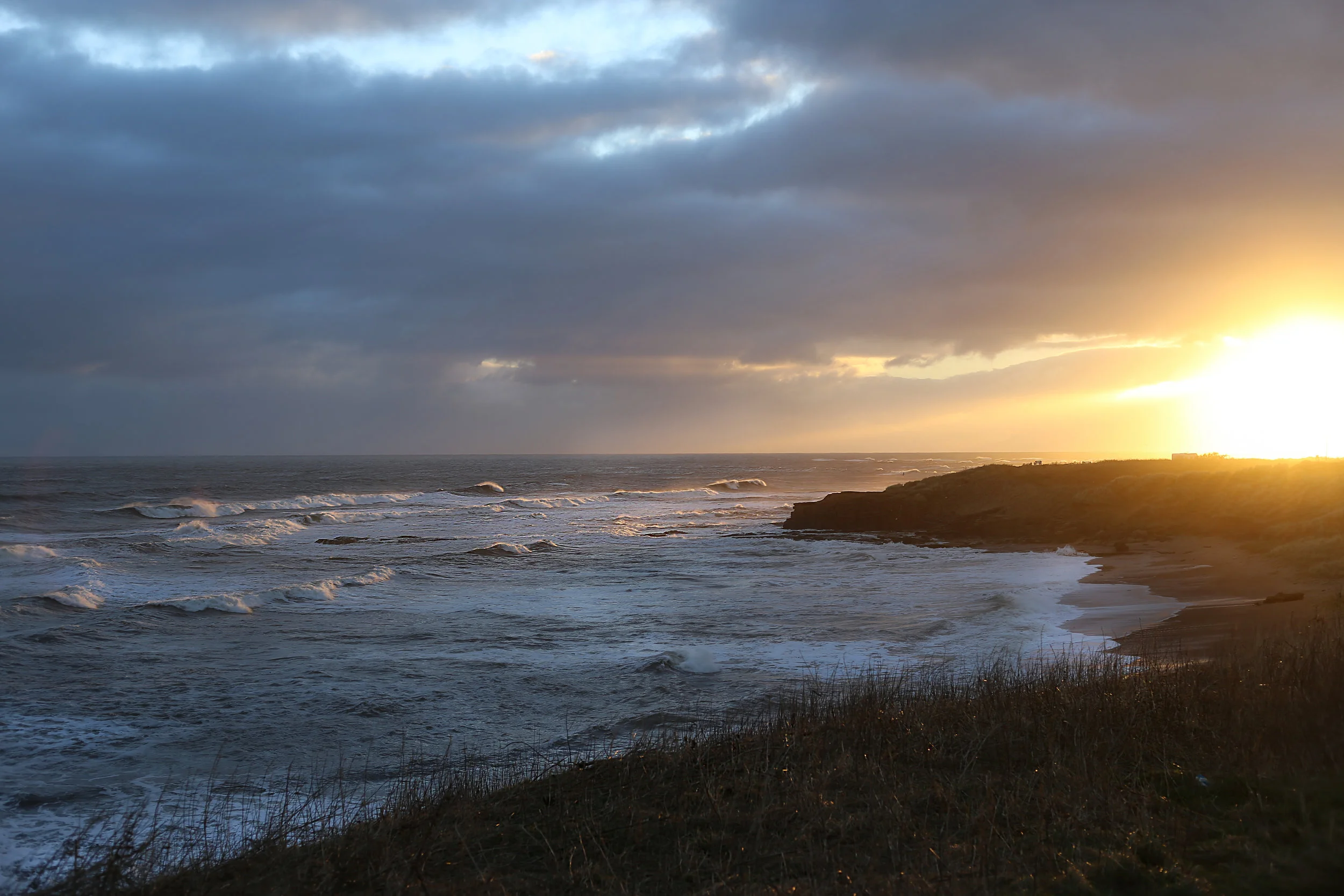 Amble6.jpg