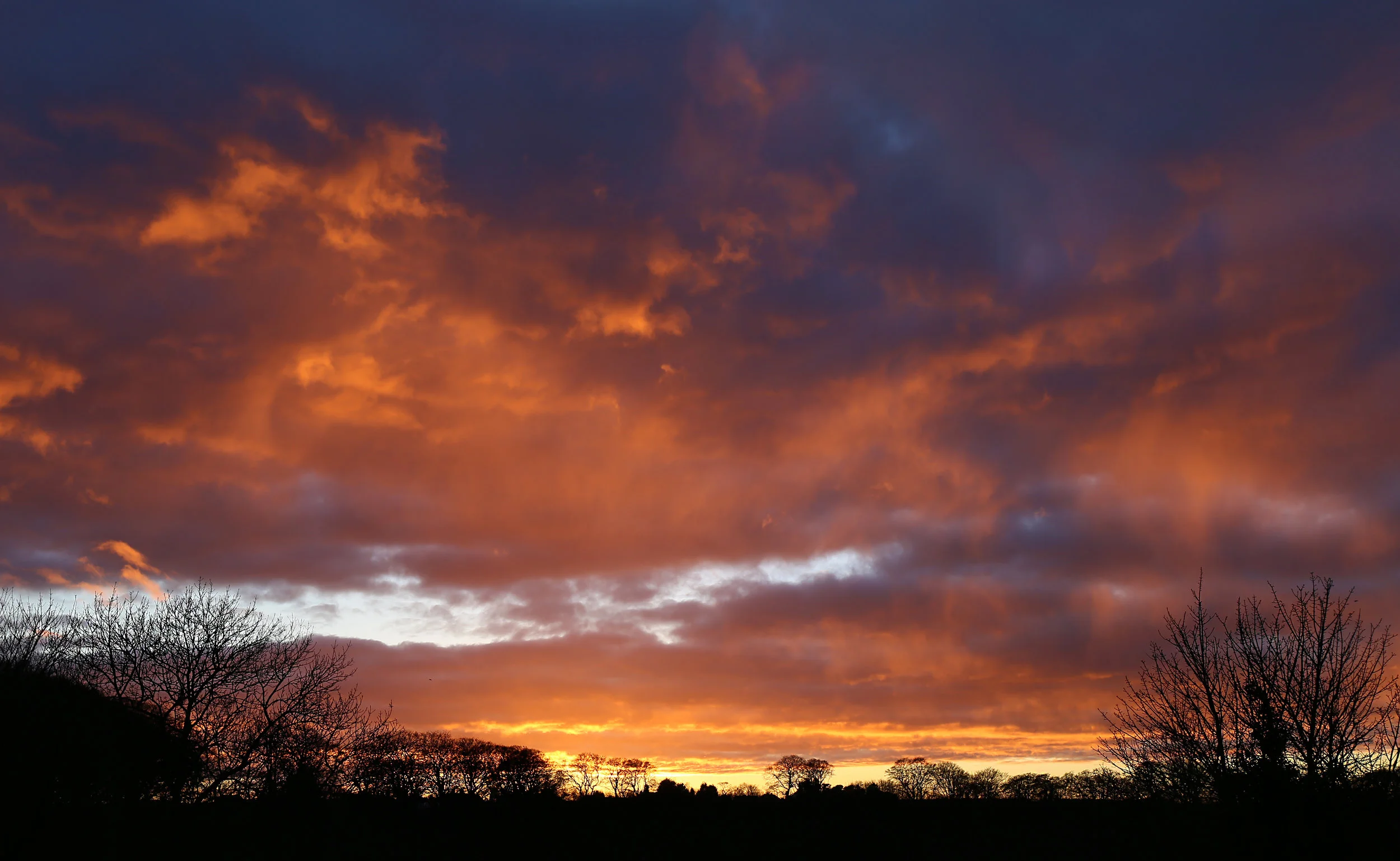Amble9.jpg