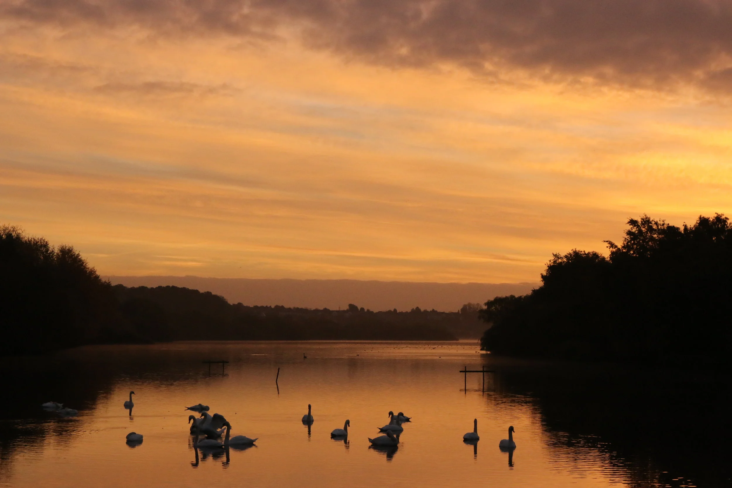 Dawn breaks, October 2015. Canon 70D, f/11, ISO 2000, 1/320