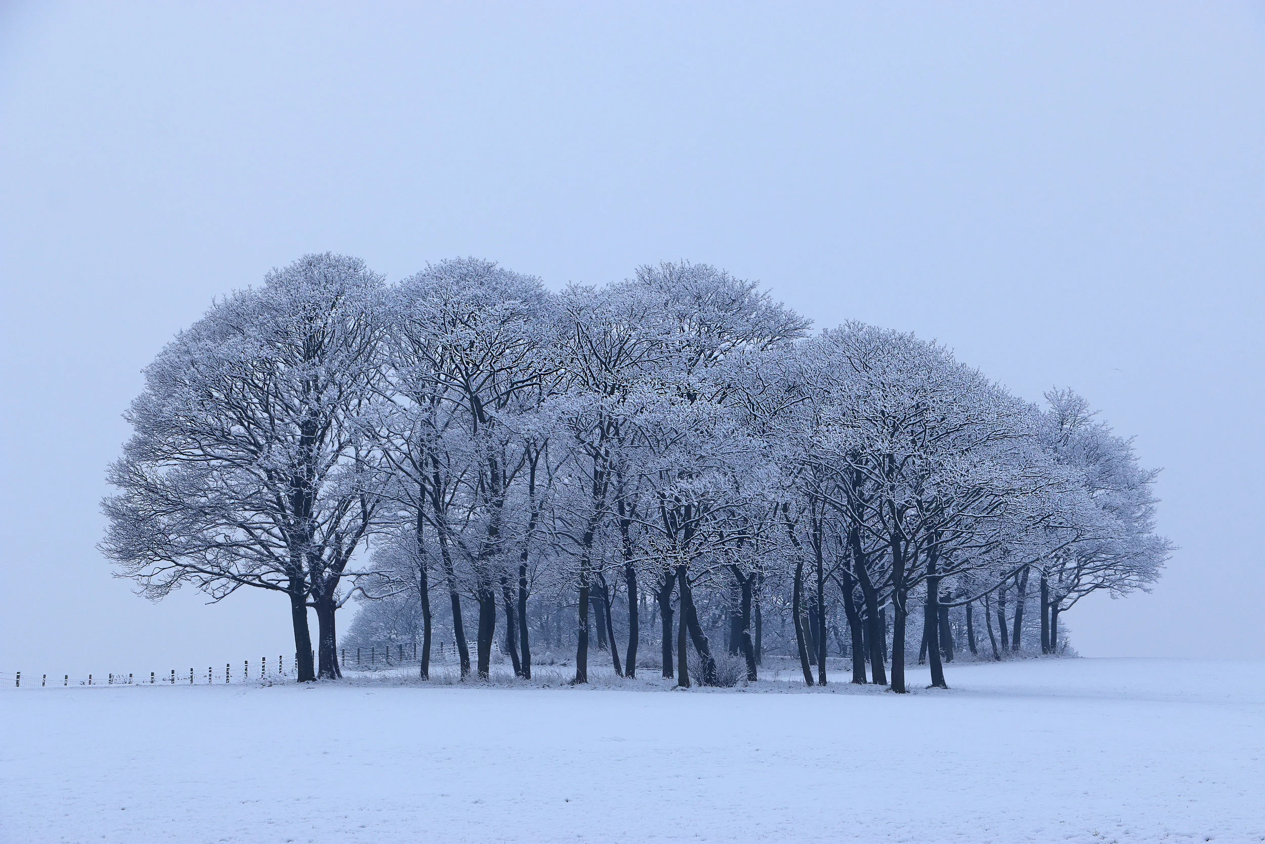 Winter. Canon 70D, 50mm lens, f8, 1/200, ISO 400