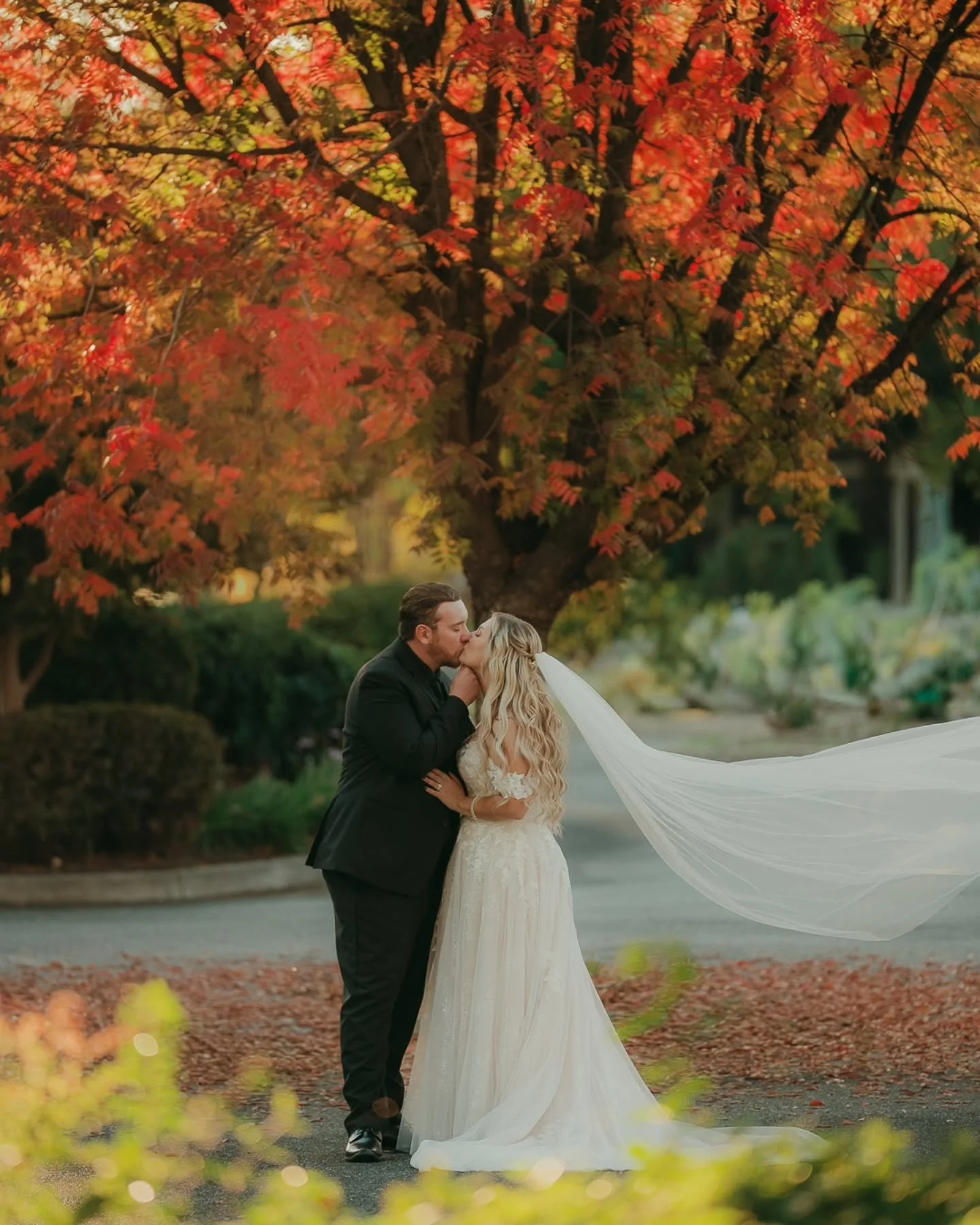 Vinny + Brittany Alaimo 💍

At Lakeside Pavilion 

@vincentjalaimo 
@badassbrittany13 
@danisemaemua 
@mslulu 
@chicoweddingdj 
@pack_a_bar_mixology 
@specialtimescatering 
@shuttergoldphotobooth 
@aebridal 
@menswearhouse 
@byjayare