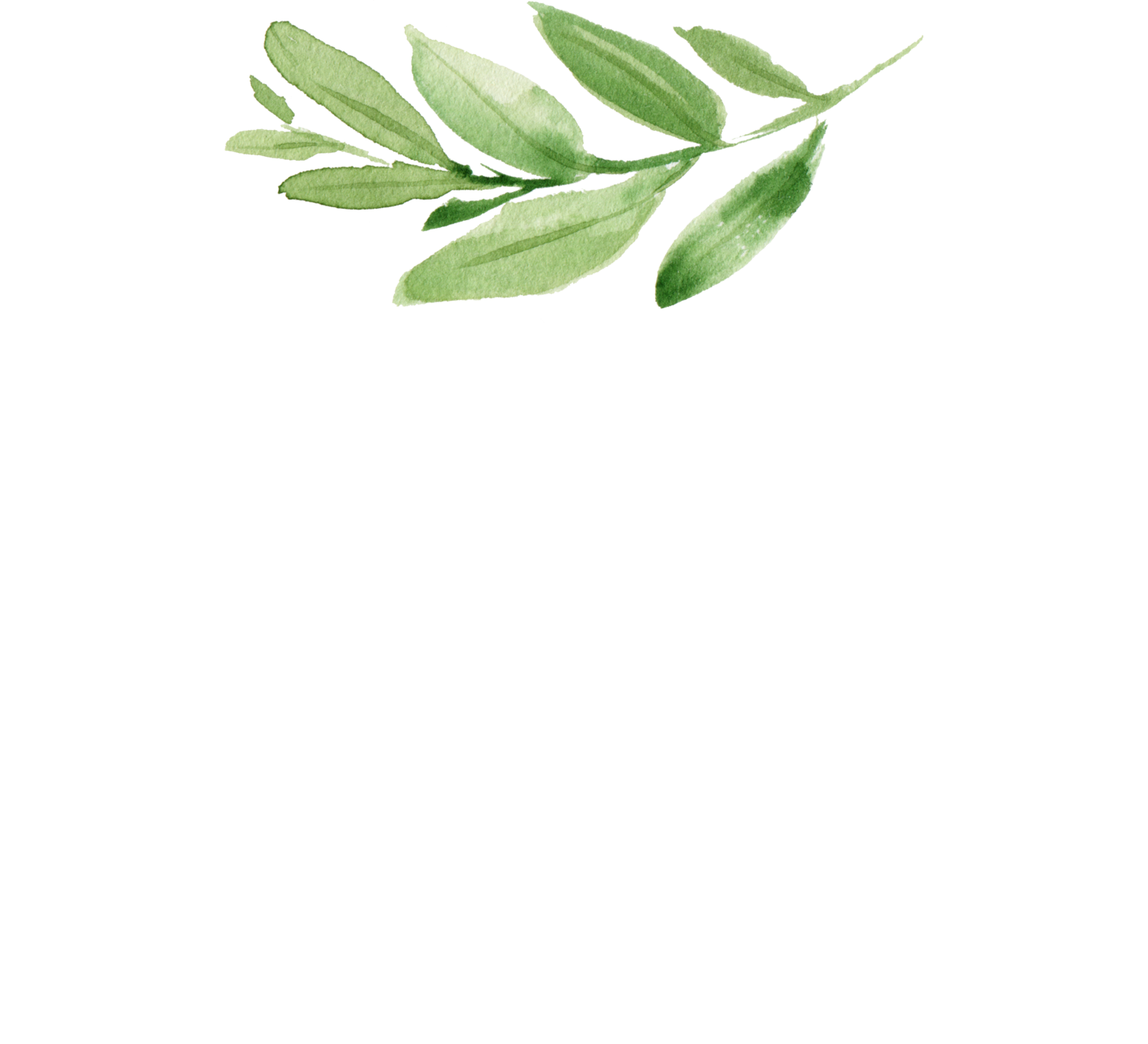 CoCoBella Photography