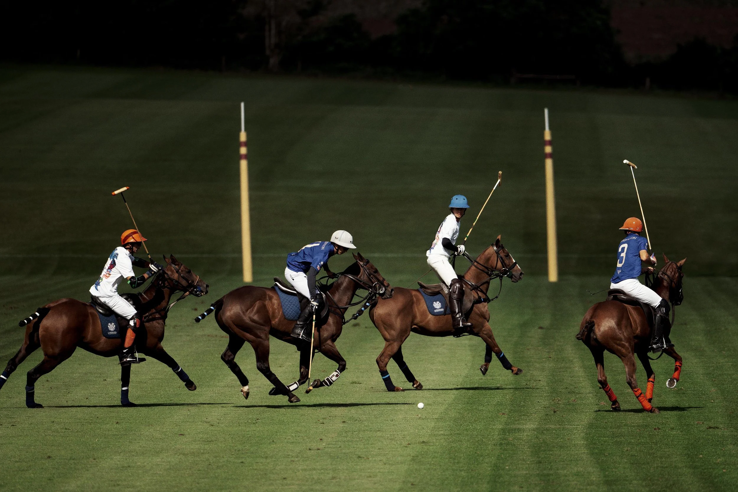 Polo with adjustments removals.jpg