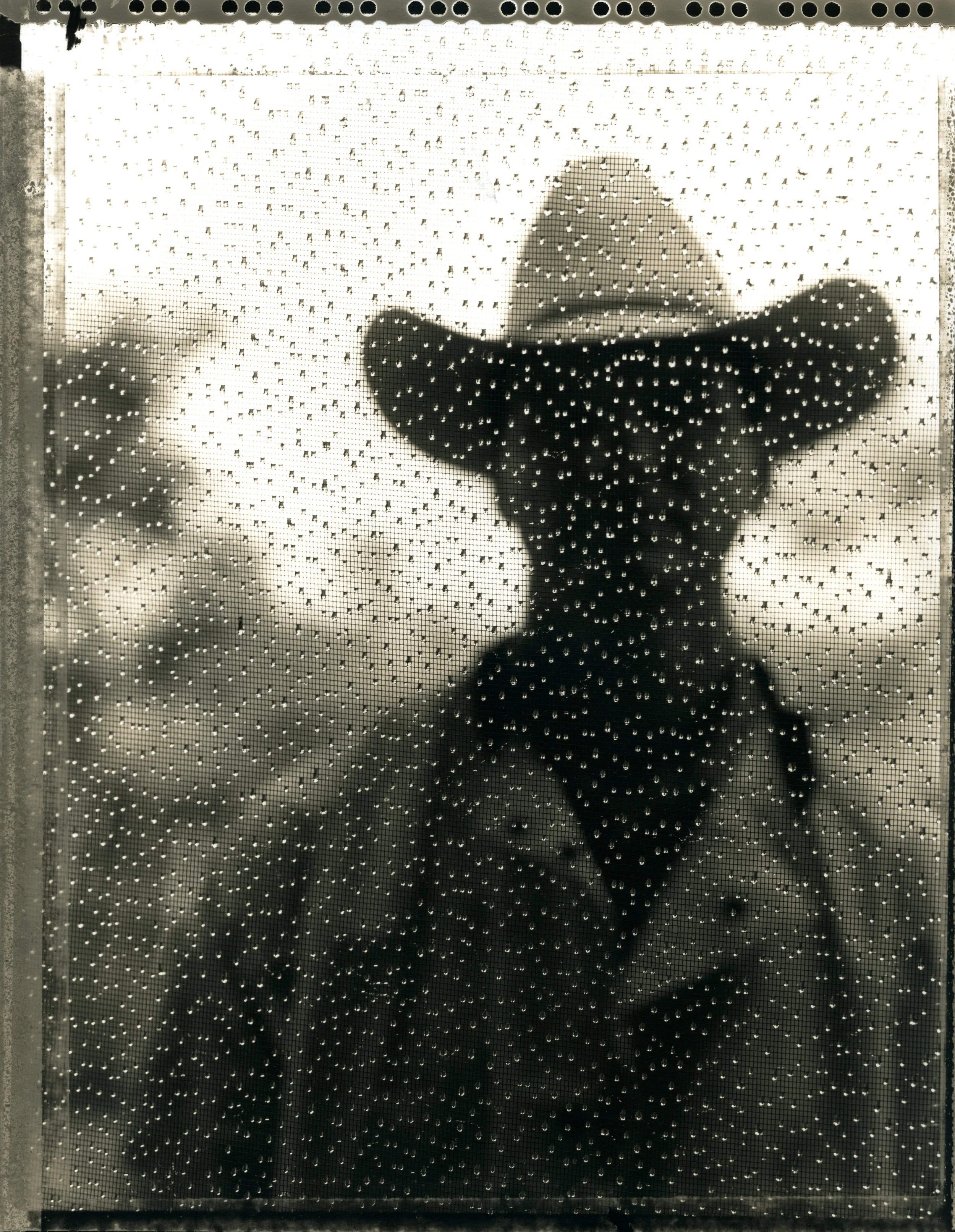 Jeff Haley, Oaks creek ranch, Type 55