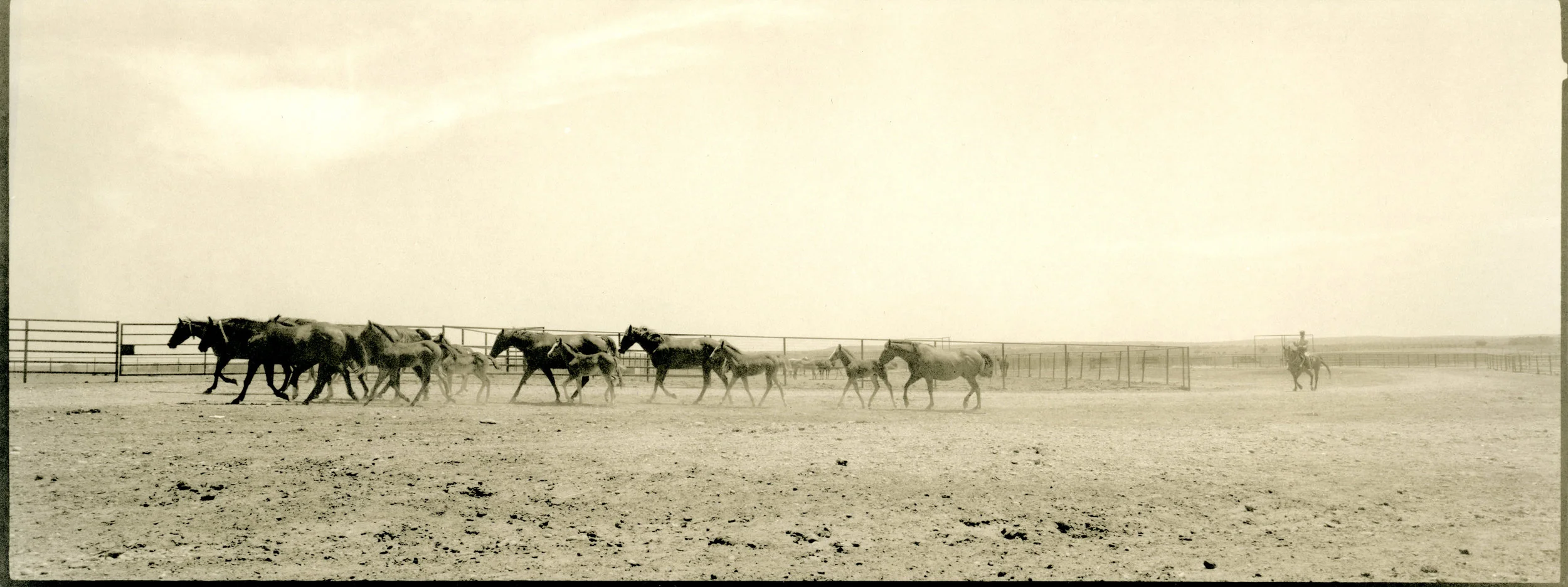 6666 Ranch, TX, Xpan