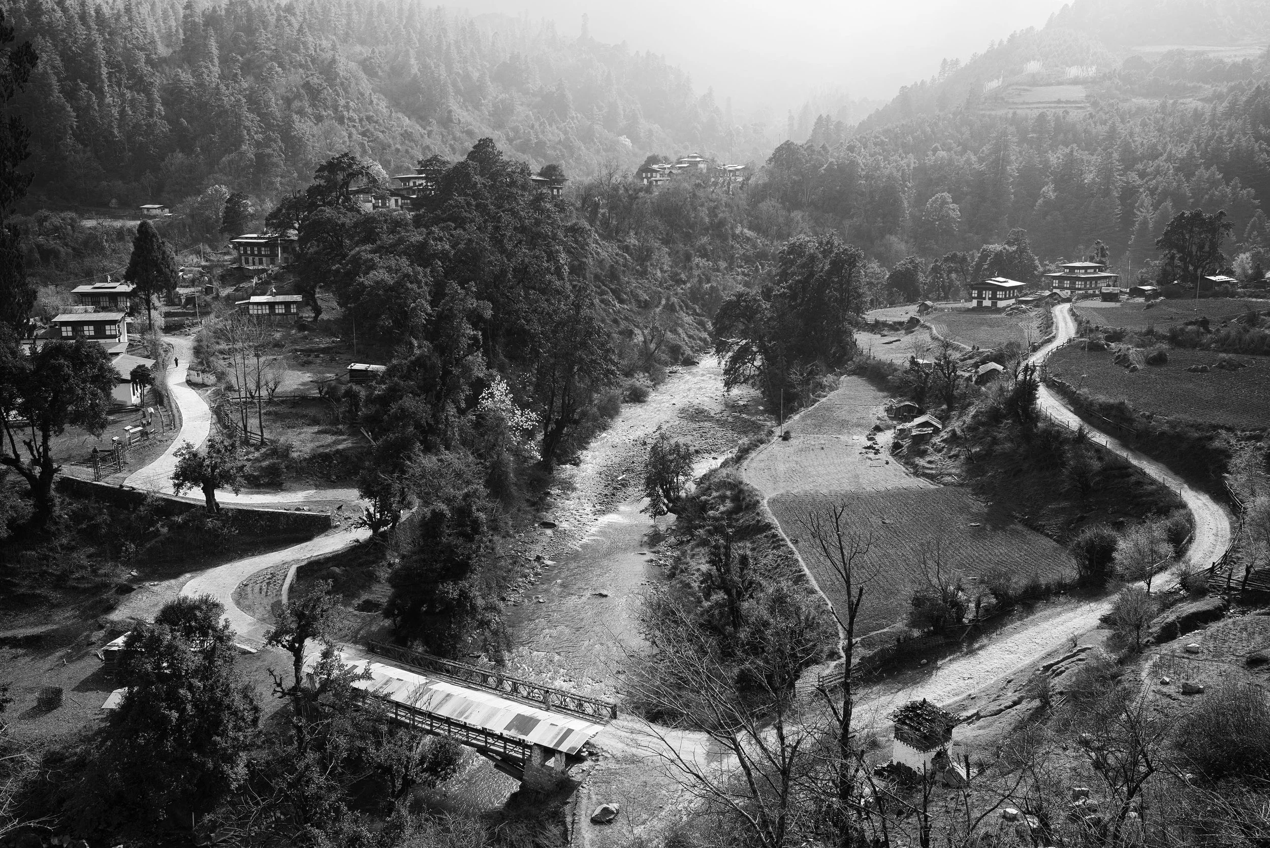 Cold waters run deep. Leica mono246