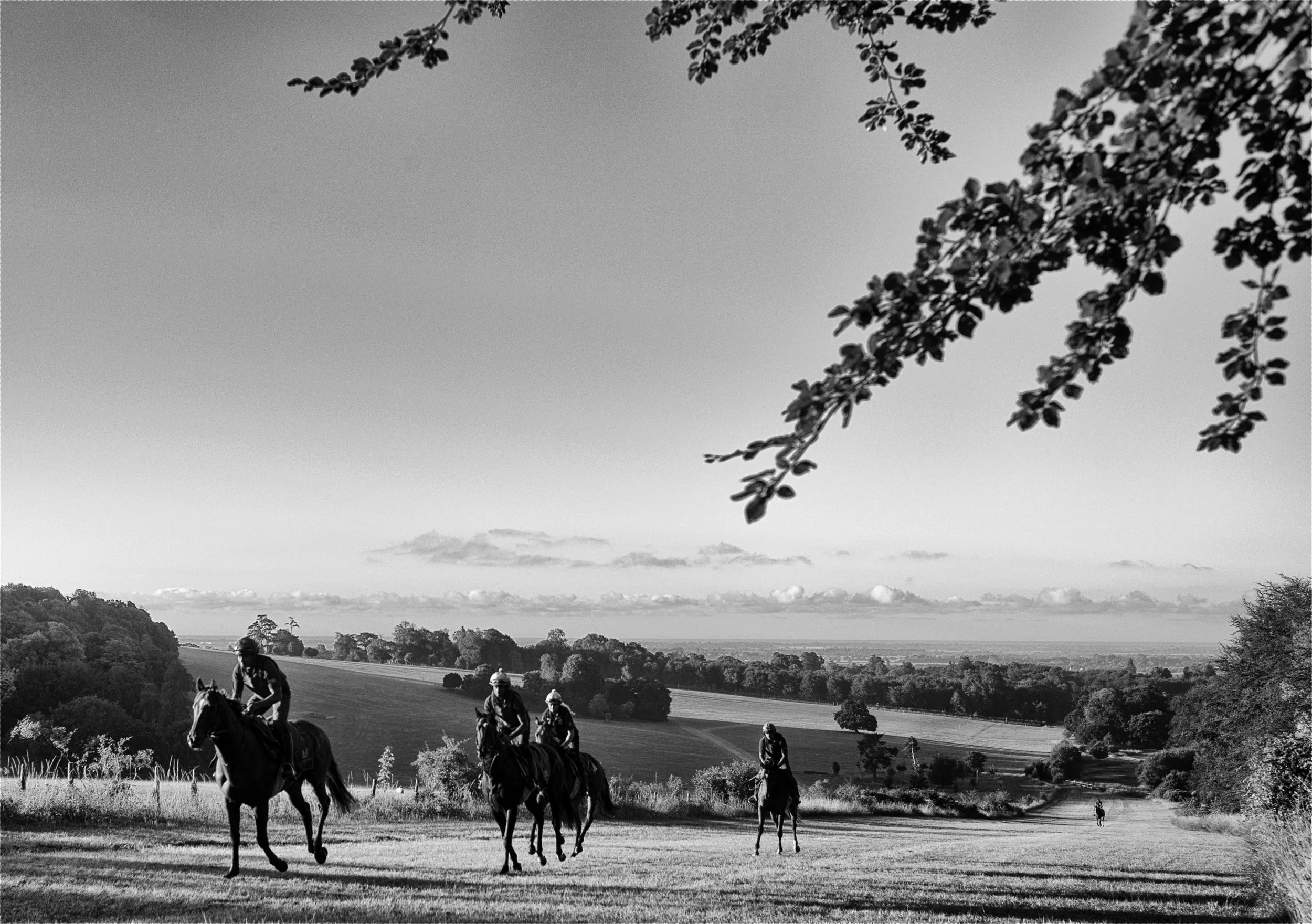 The Gallops, Leica M246