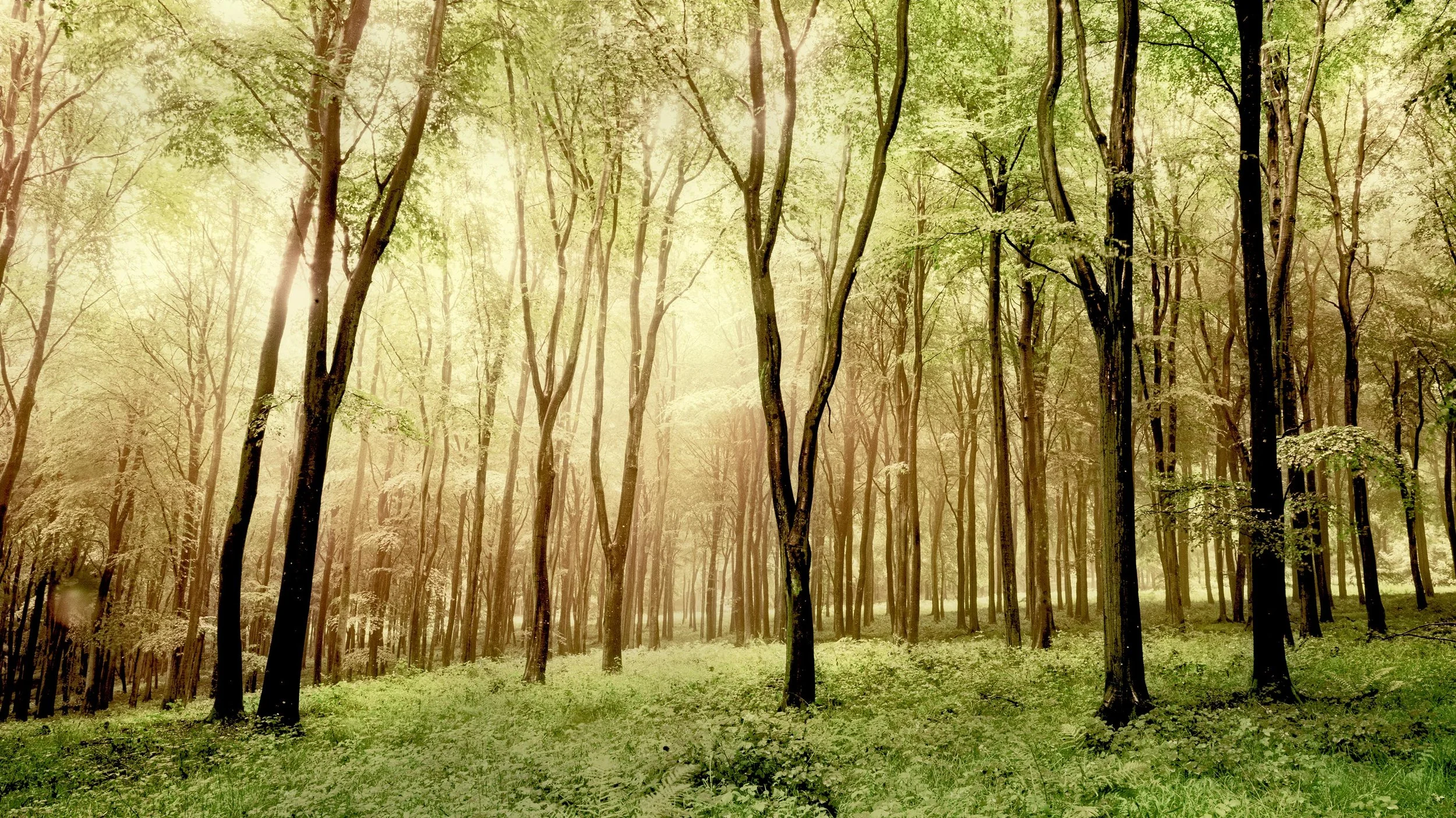 Image to print on site.jpg