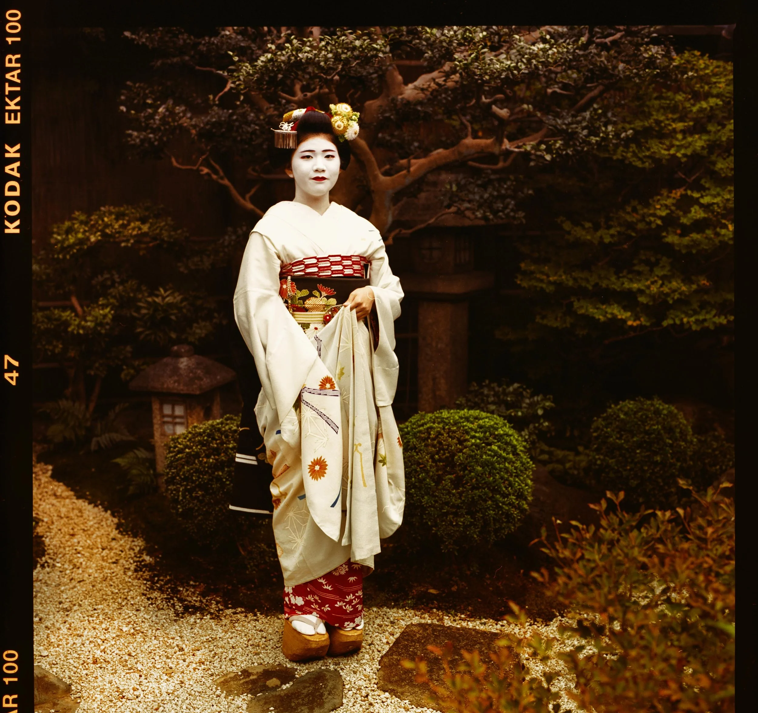 Giesha colour 2a.jpg