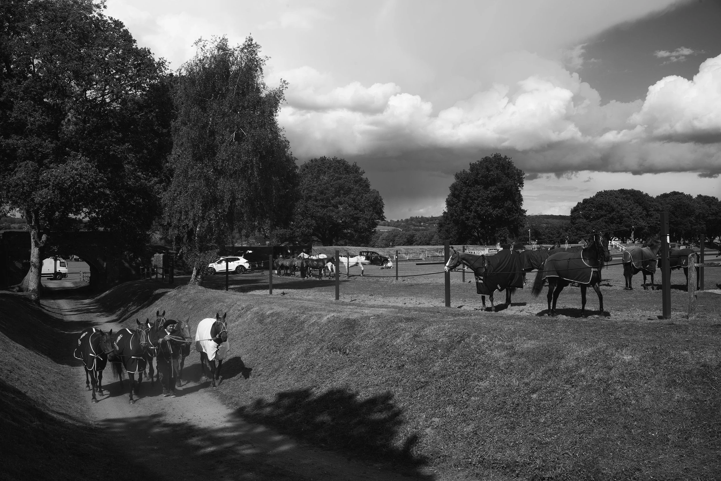 L1000095.jpg