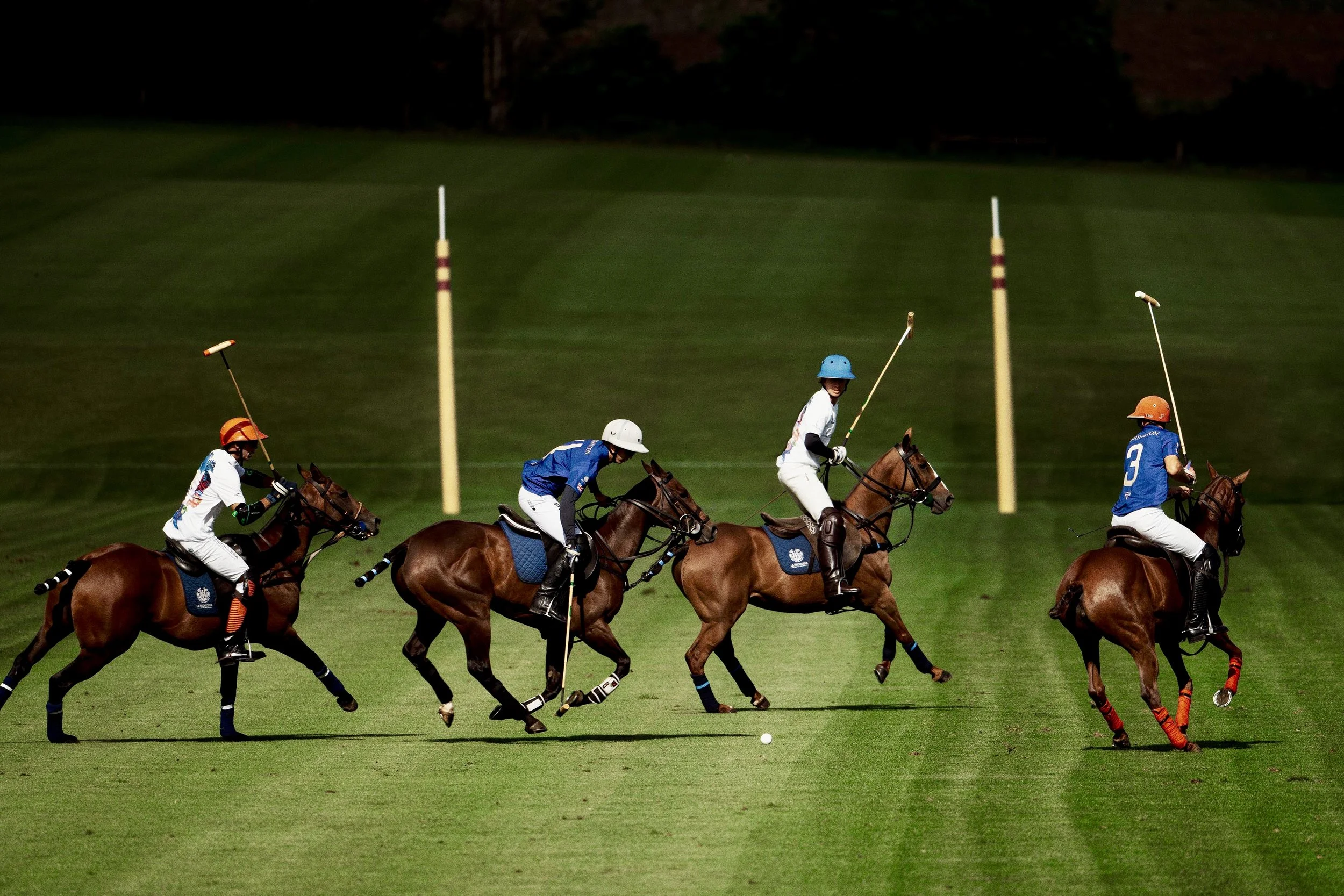 Polo with adjustments removals.jpg