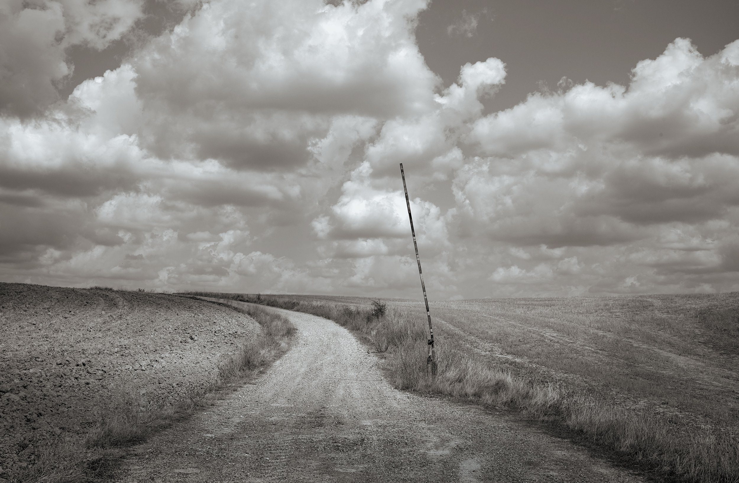 L1003216.jpg