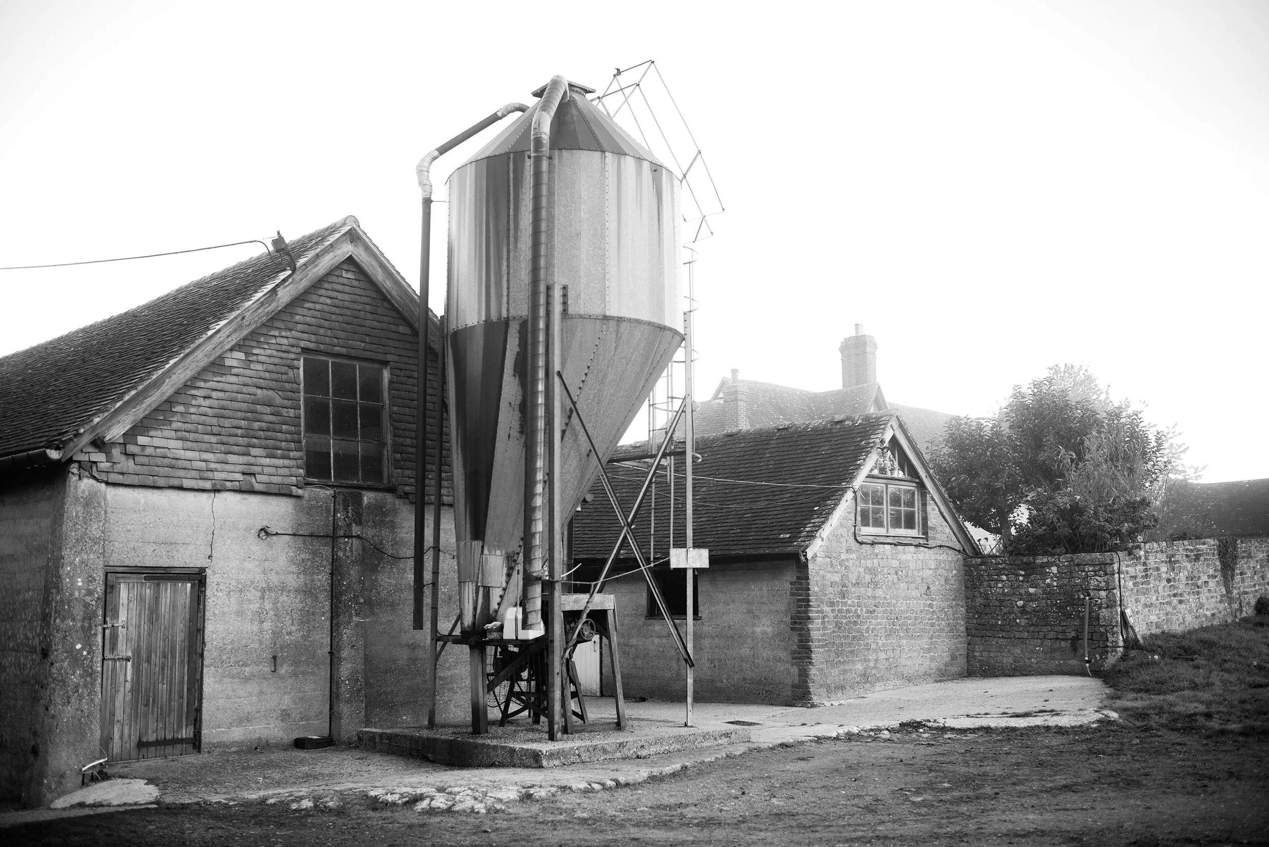 L1004408.jpg
