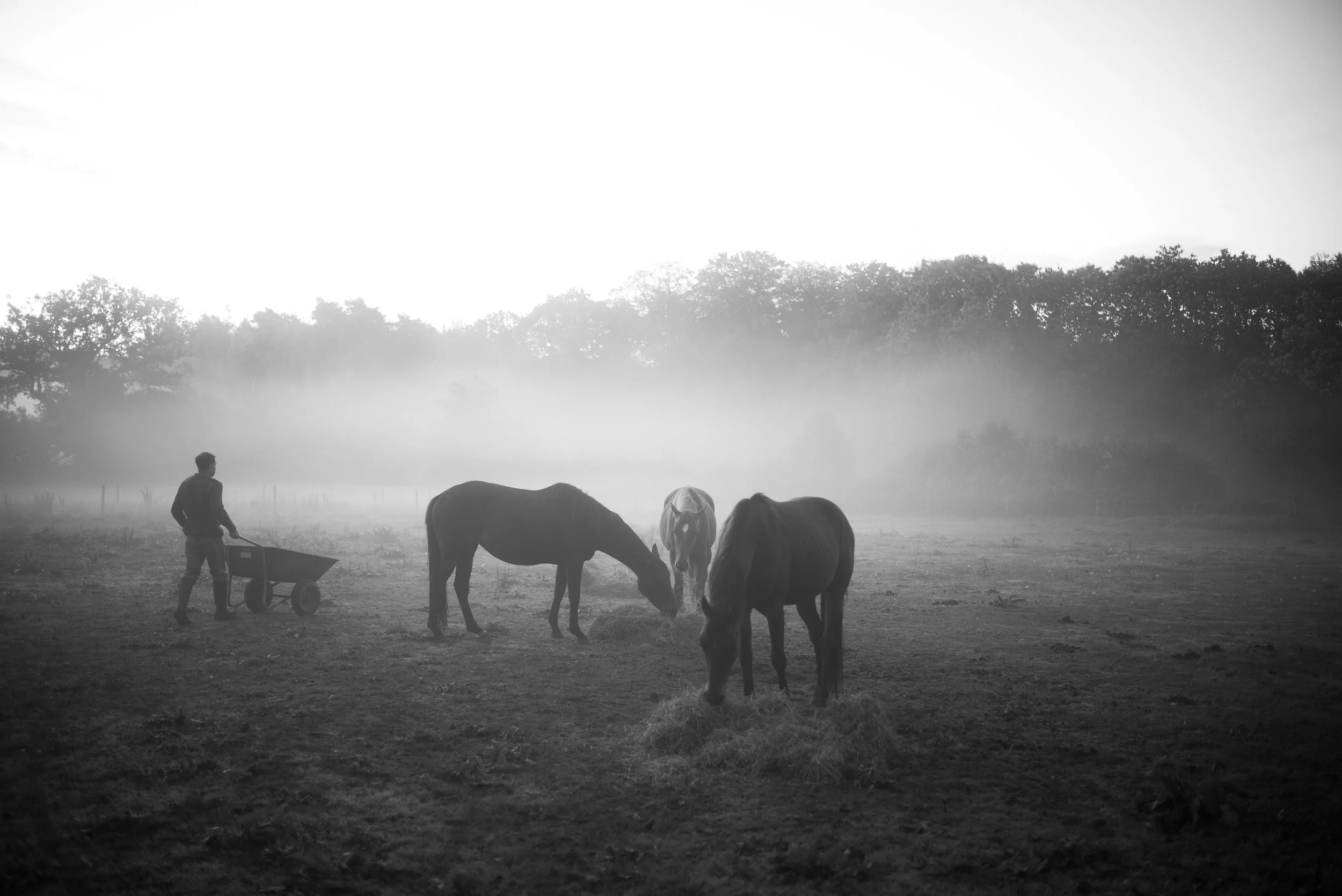 L1004374.jpg