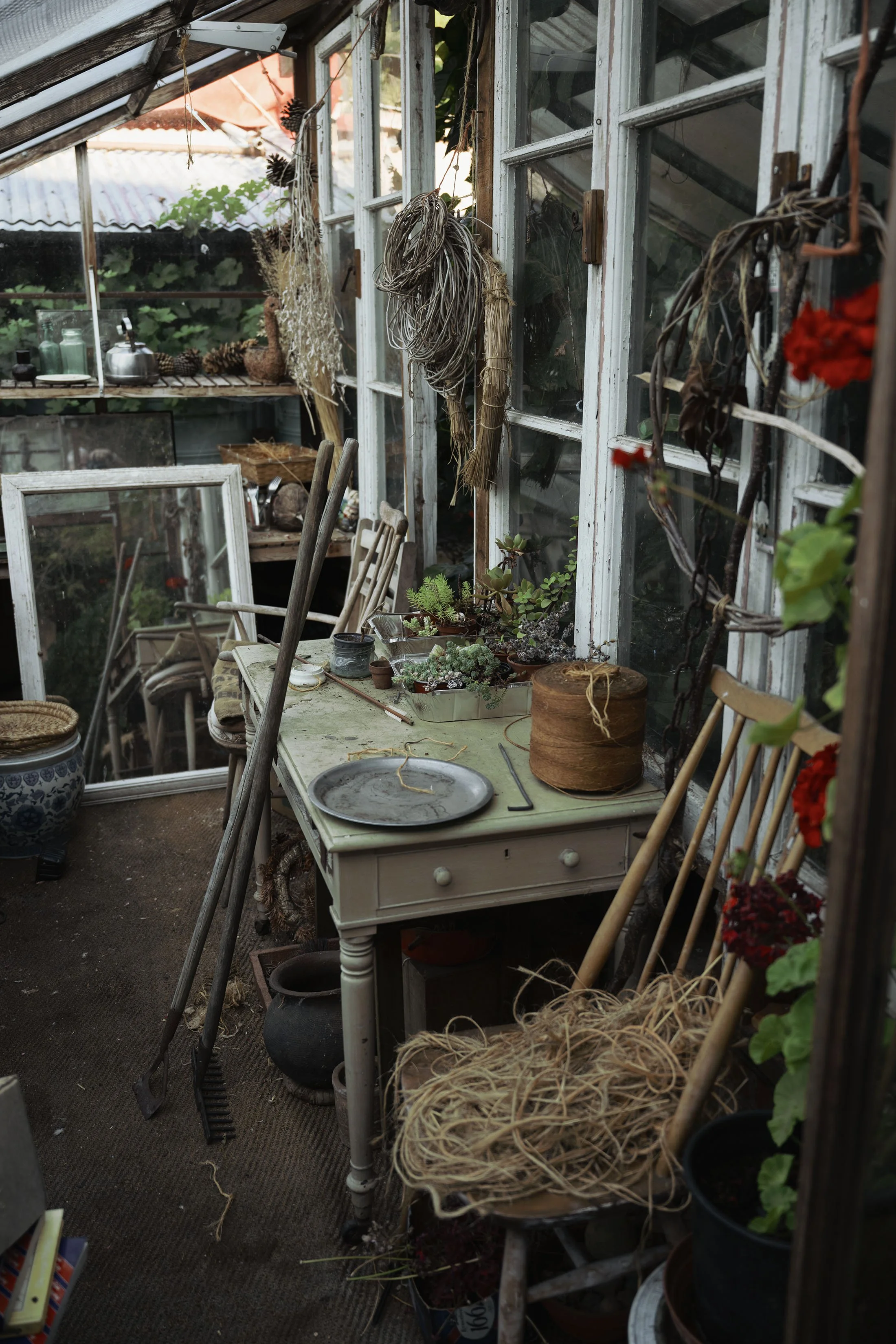 DSC_8388.jpg