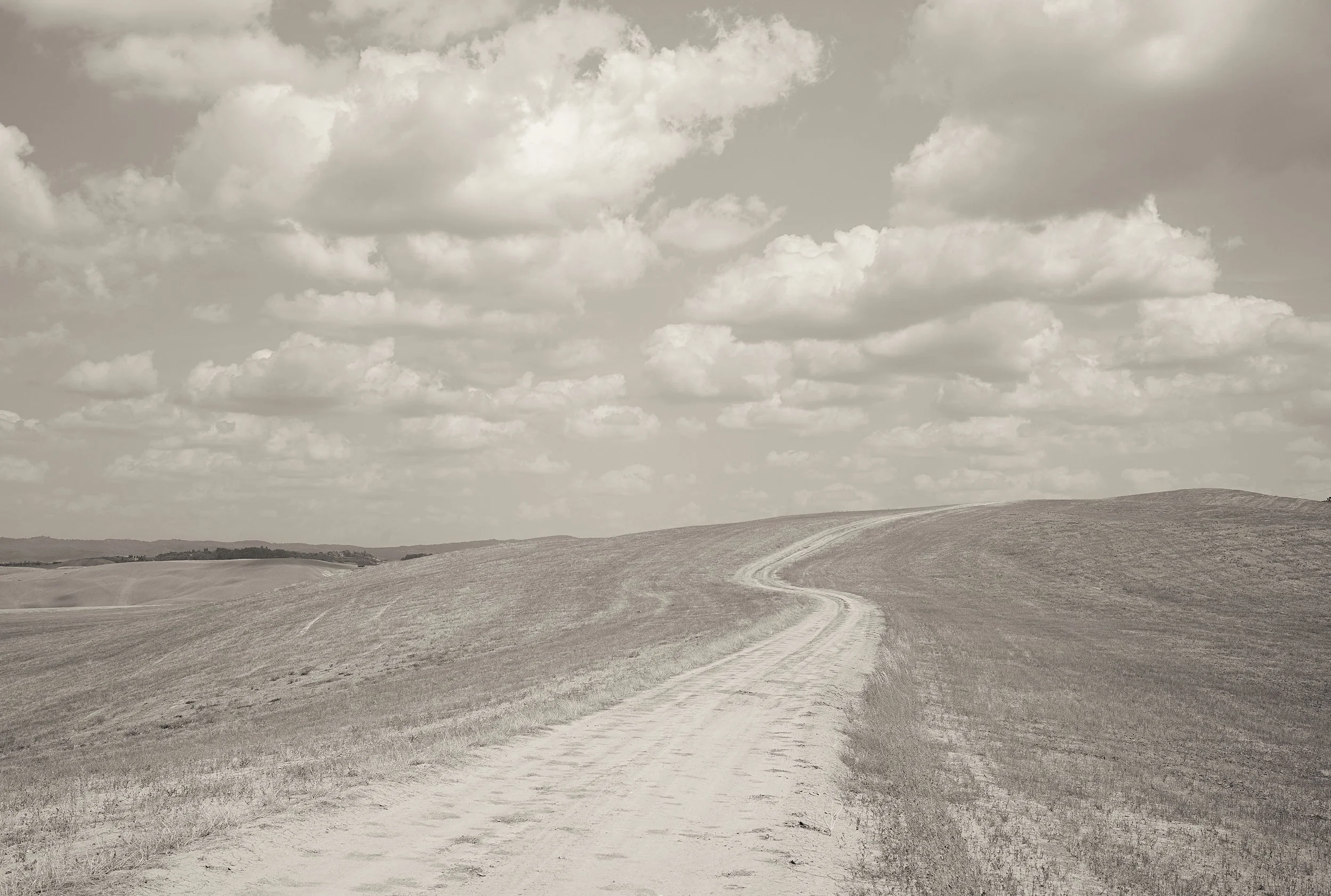L1003229.jpg