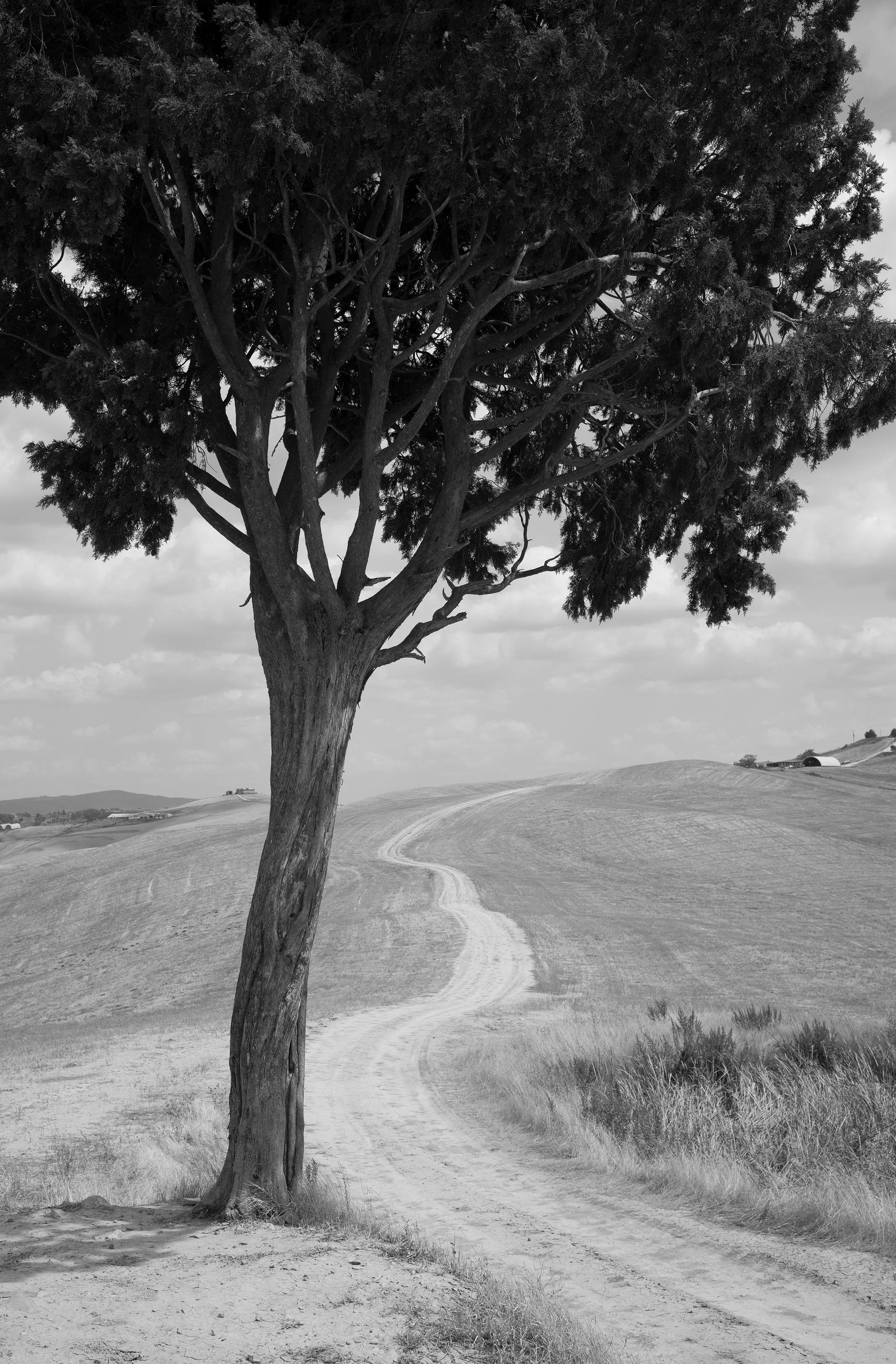 L1003252.jpg