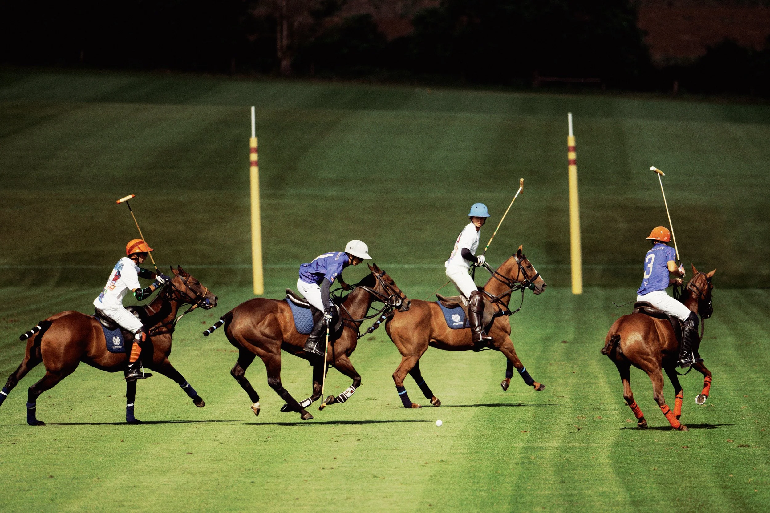 Polo with adjustments removals2.jpg