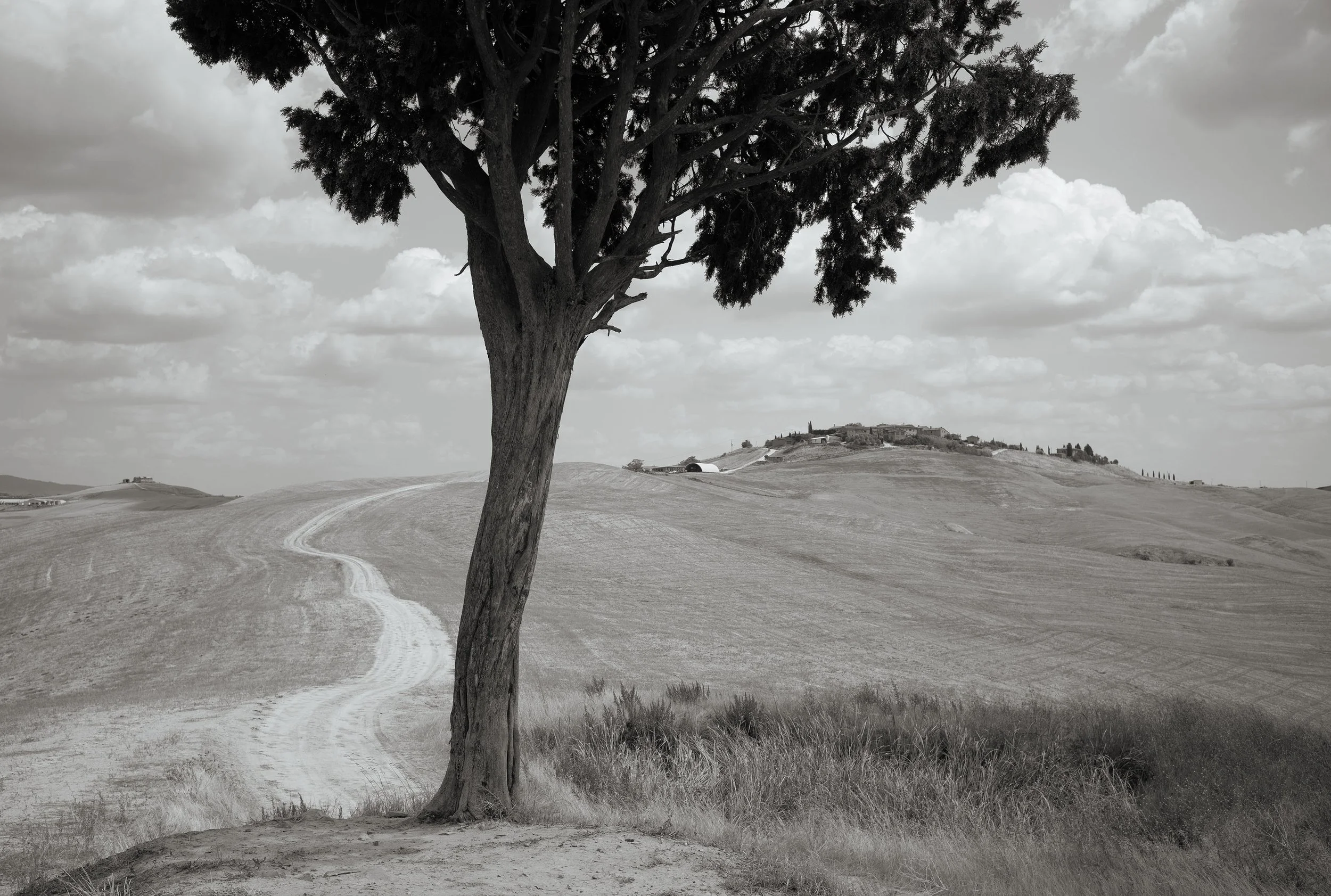 L1003254.jpg