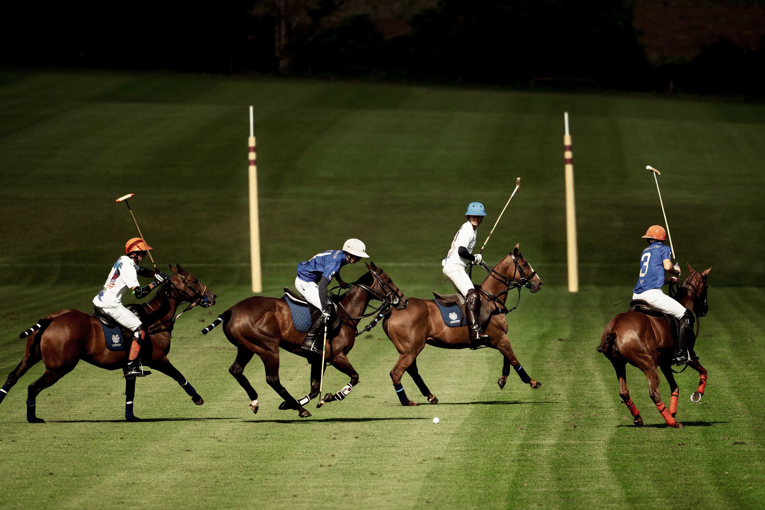 Polo with adjustments removals.jpg