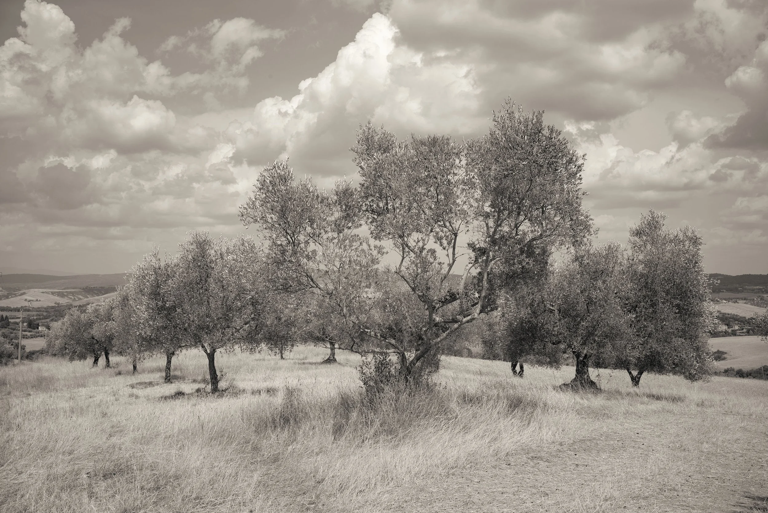L1003278.jpg