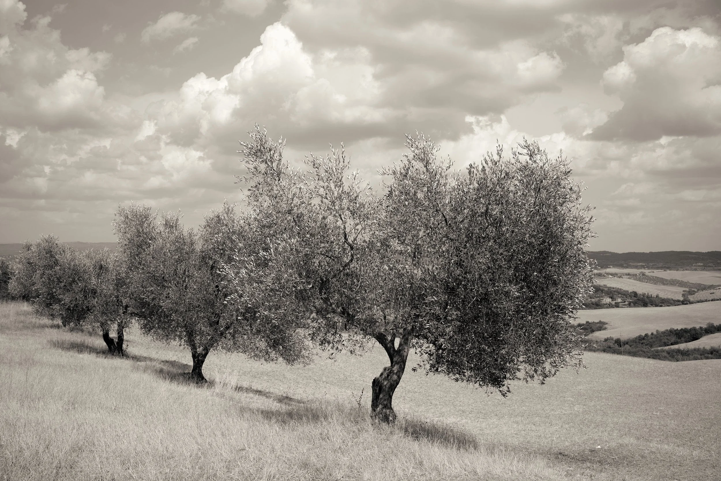 L1003282.jpg