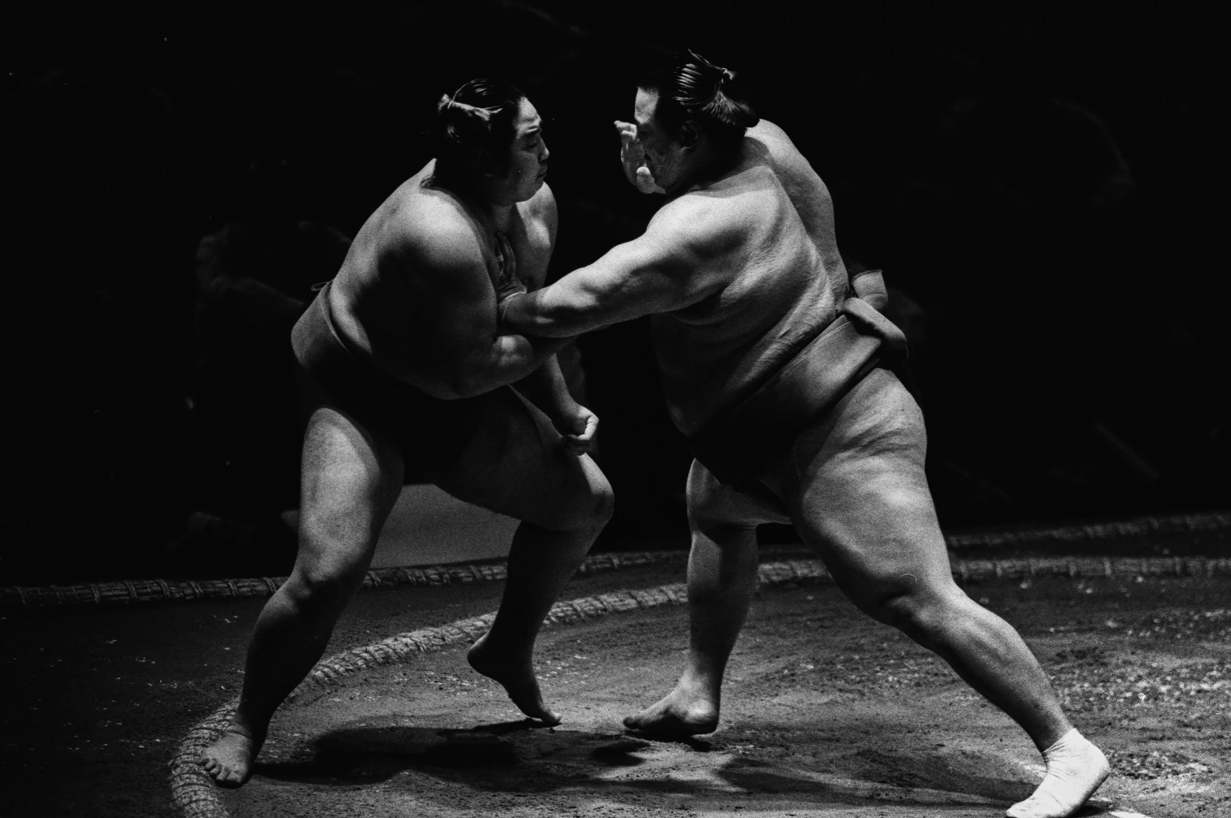 Sumo 11.jpg
