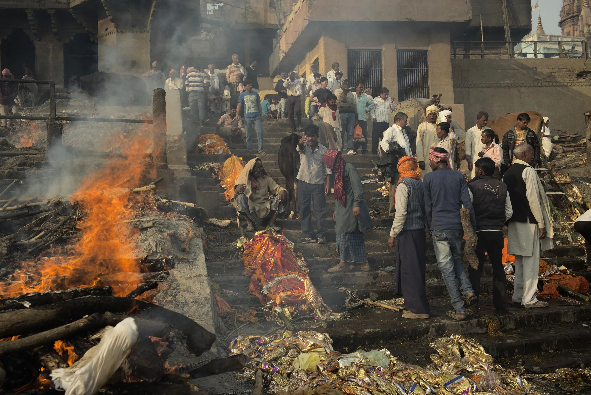 India trip Nov 2016 -1398.jpg