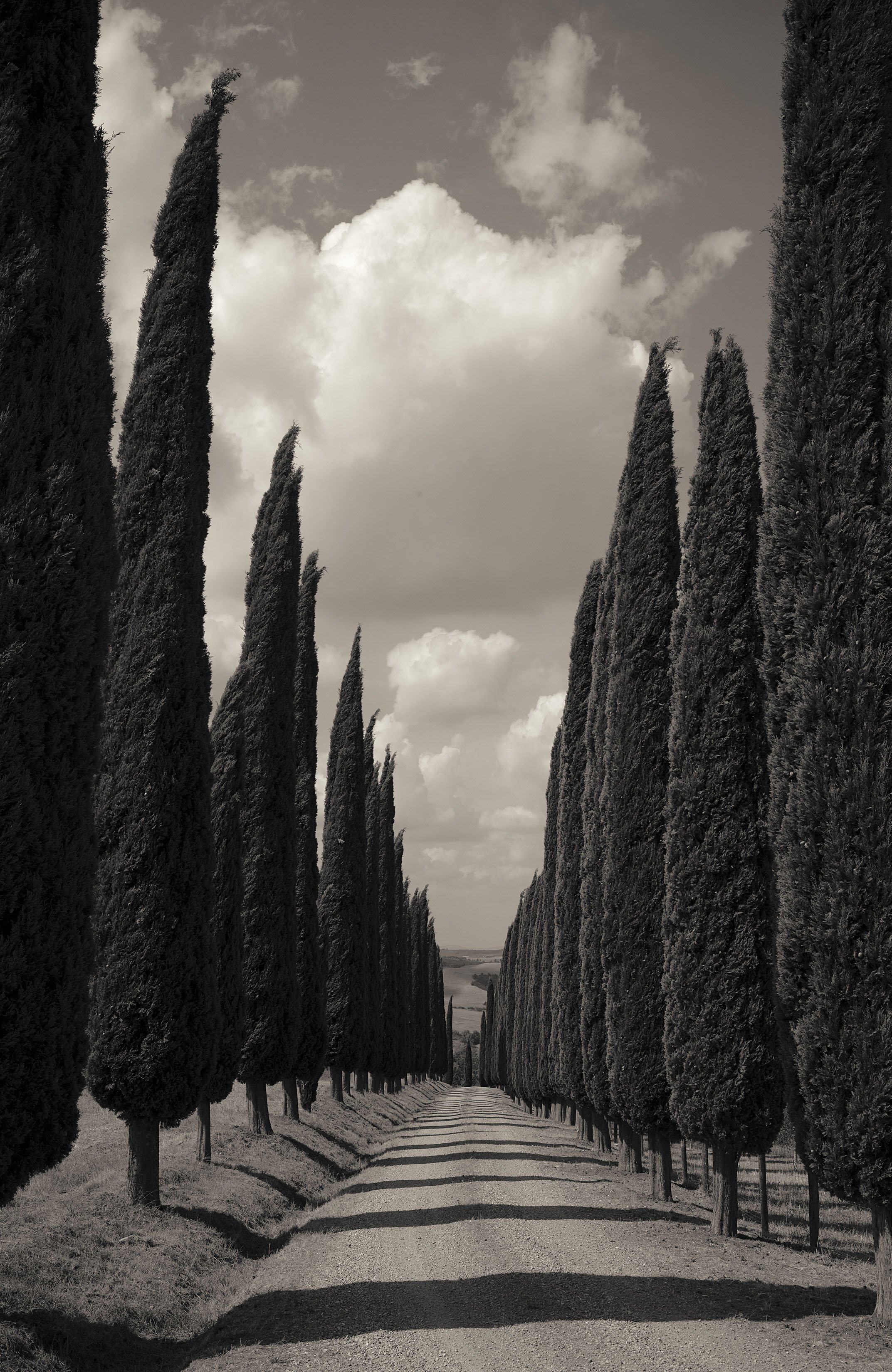 L1003289.jpg