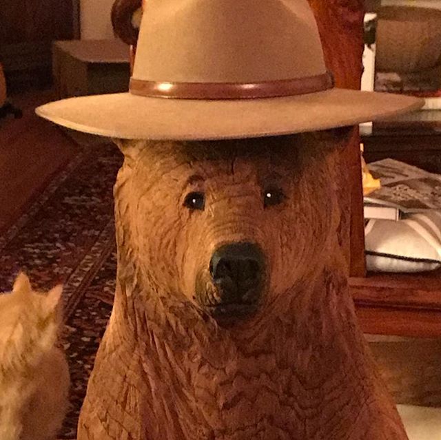 Gordon!  The latest Bear Vista Marketing mascot.