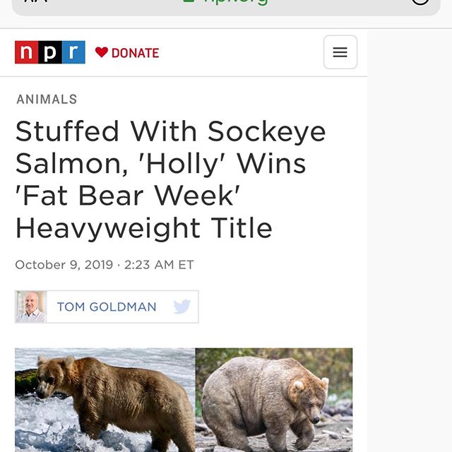 Holly for the win!  Great @npr story about the bears on the Katmai Peninsula in Alaska.