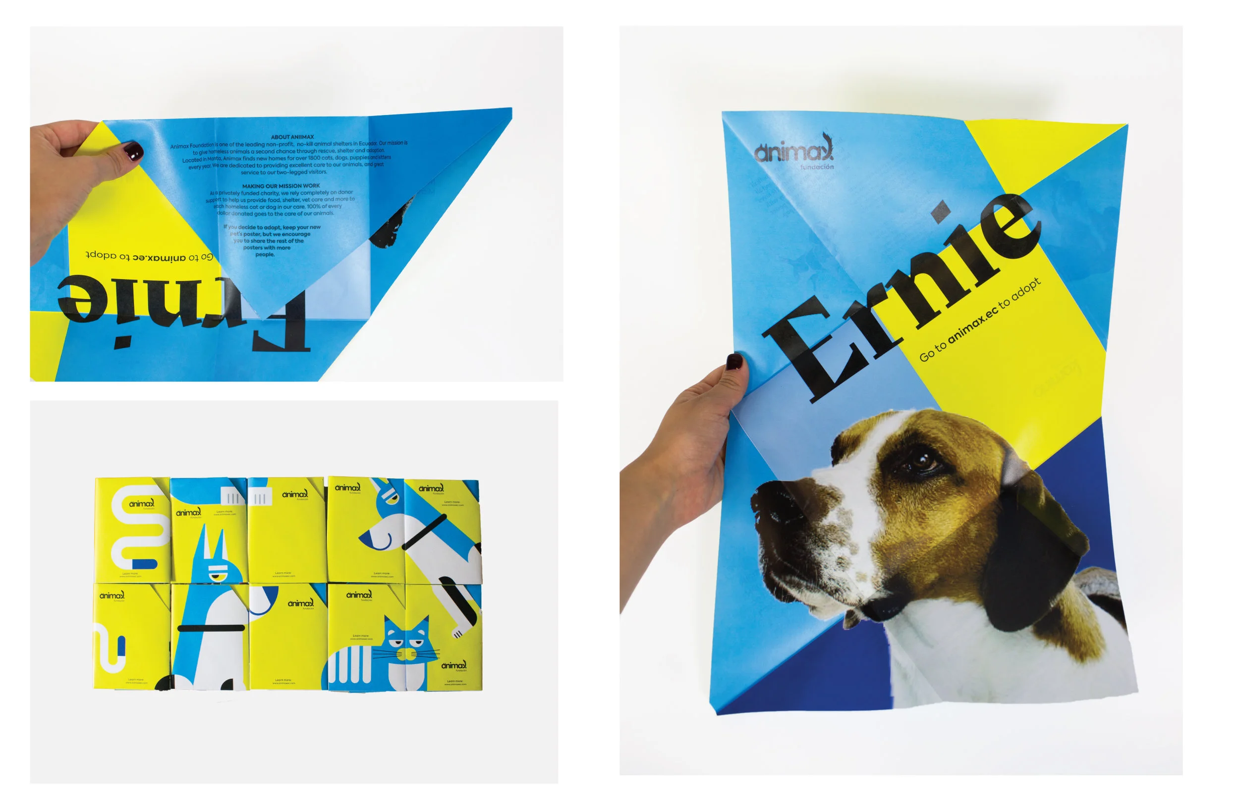 folded posters-02.jpg