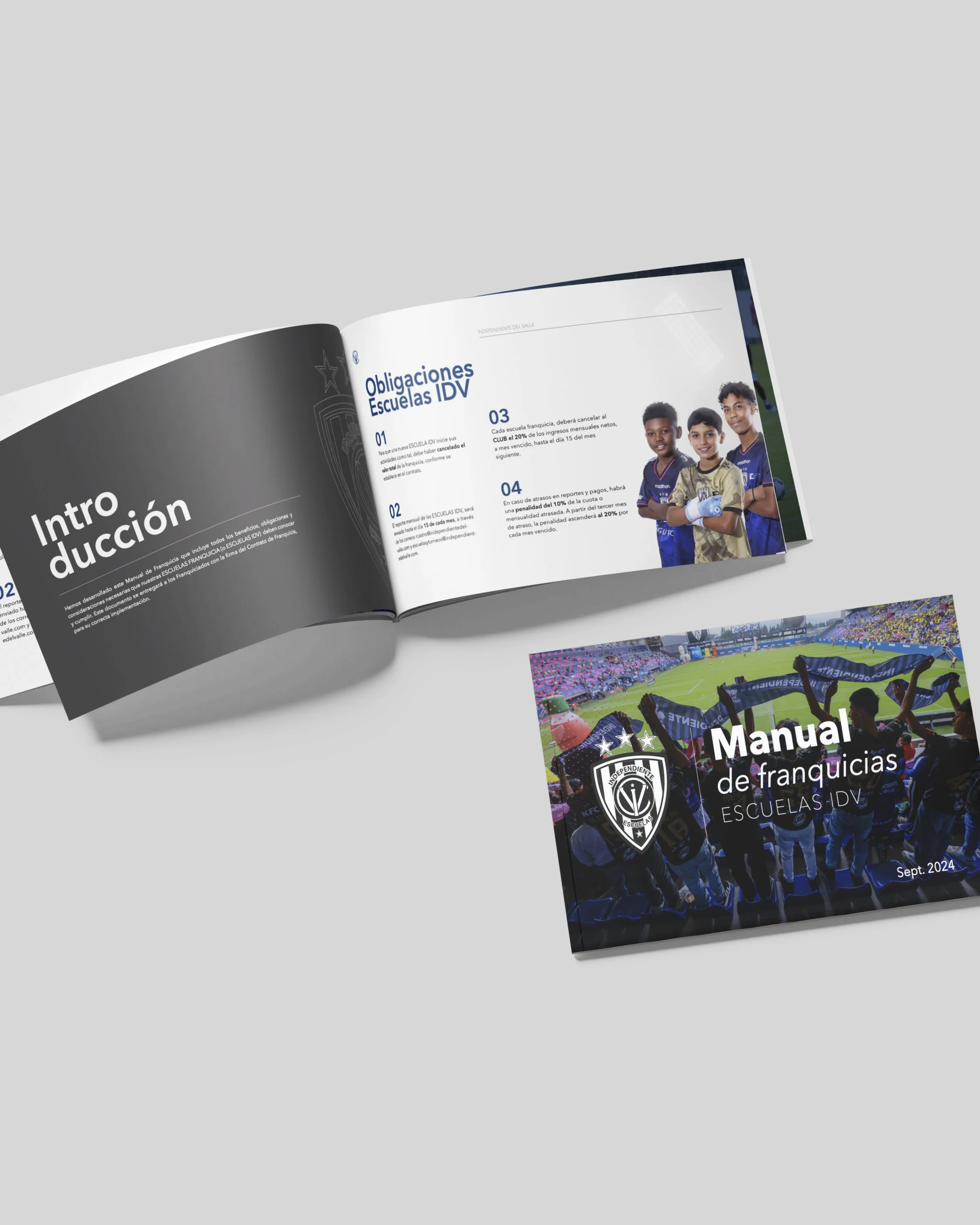 Manual de franquicias IDV_Mesa de trabajo 1.jpg