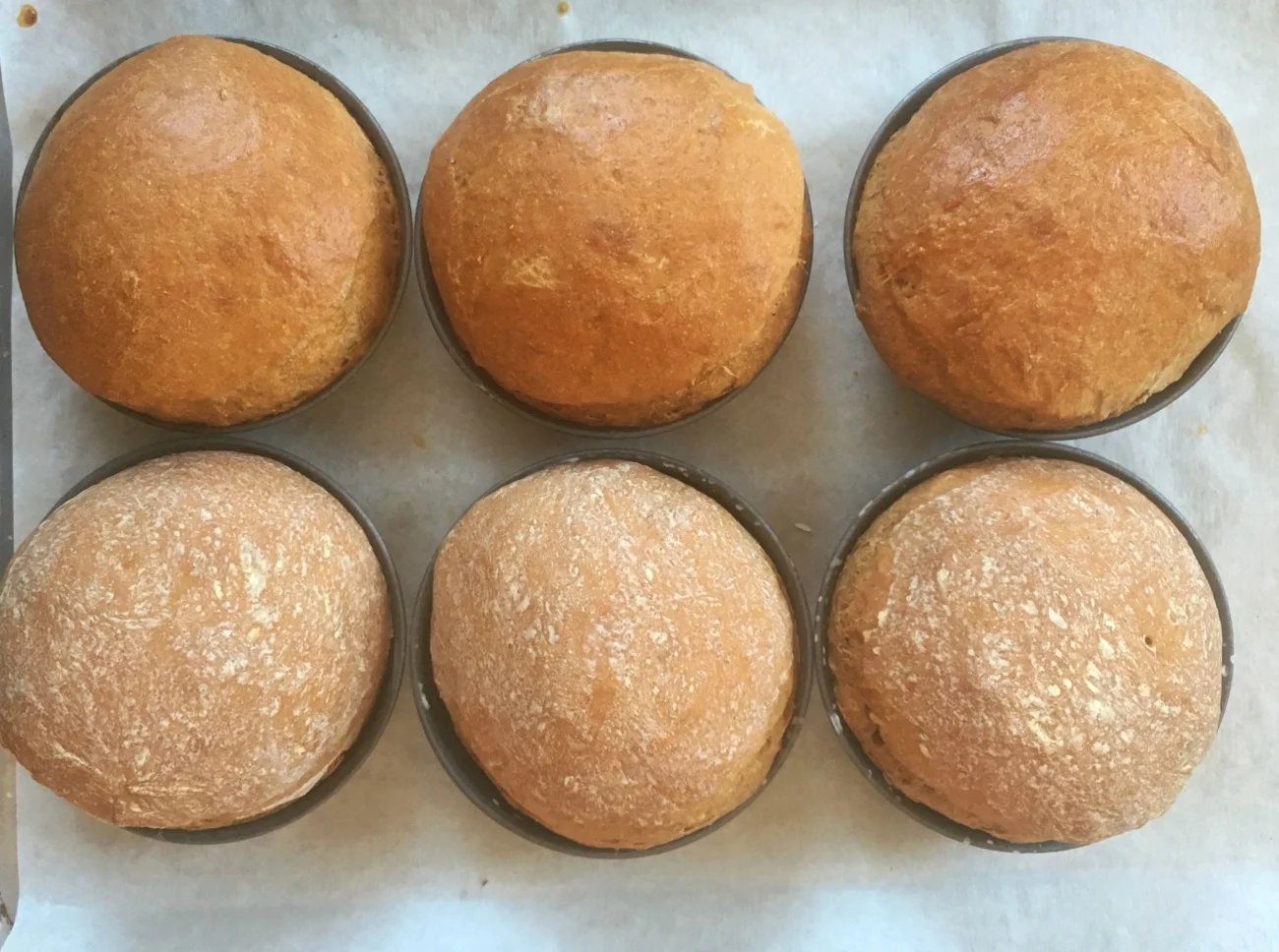 The top row was brushed with an egg wash; the bottom with the cornstarch slurry.
