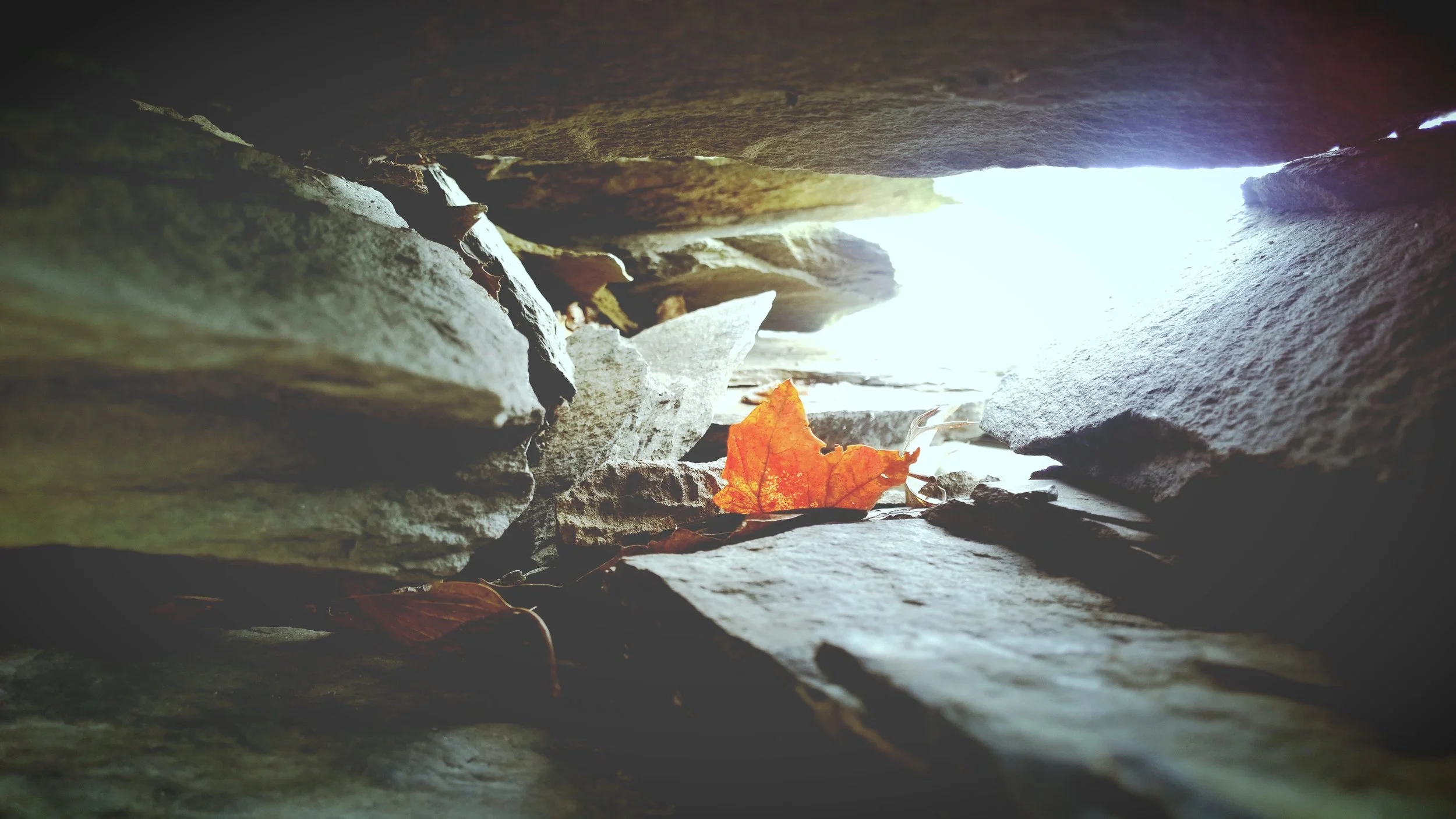 Foundational Living