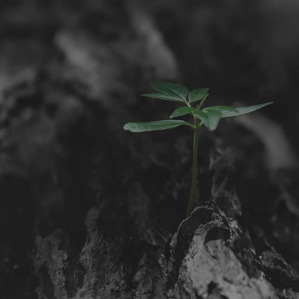 <strong>Faith &amp; Work</strong><p>Find out more »</p> 