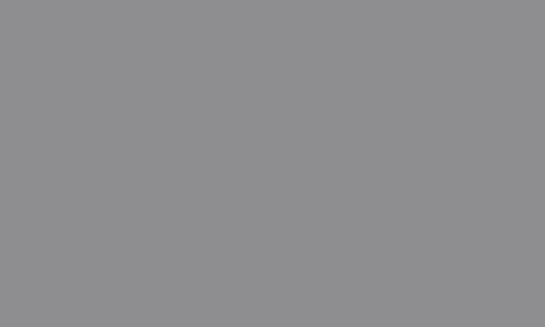 Grey #8e8e90.jpg