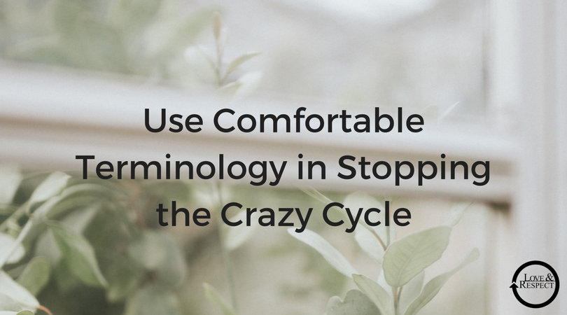 Use-Comfortable-Terminology-in-Stopping-the-Crazy-Cycle.png