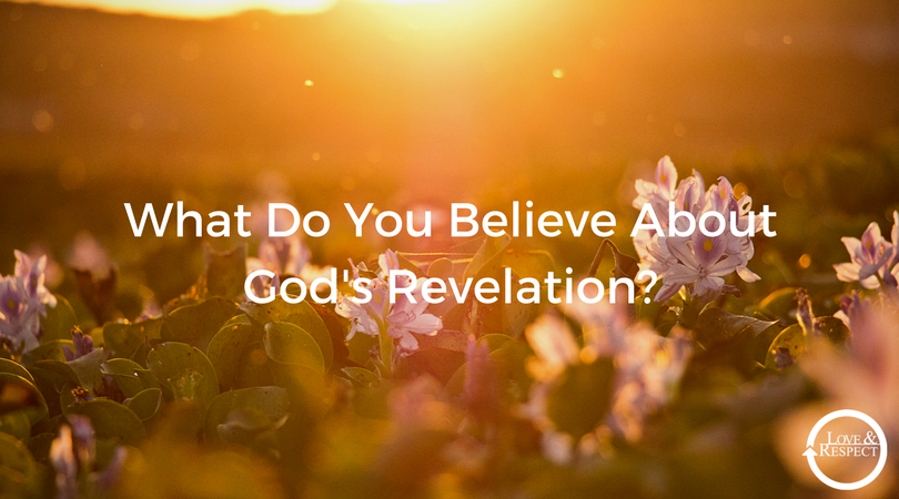 What-Do-You-Believe-About-Gods-Revelation_.png