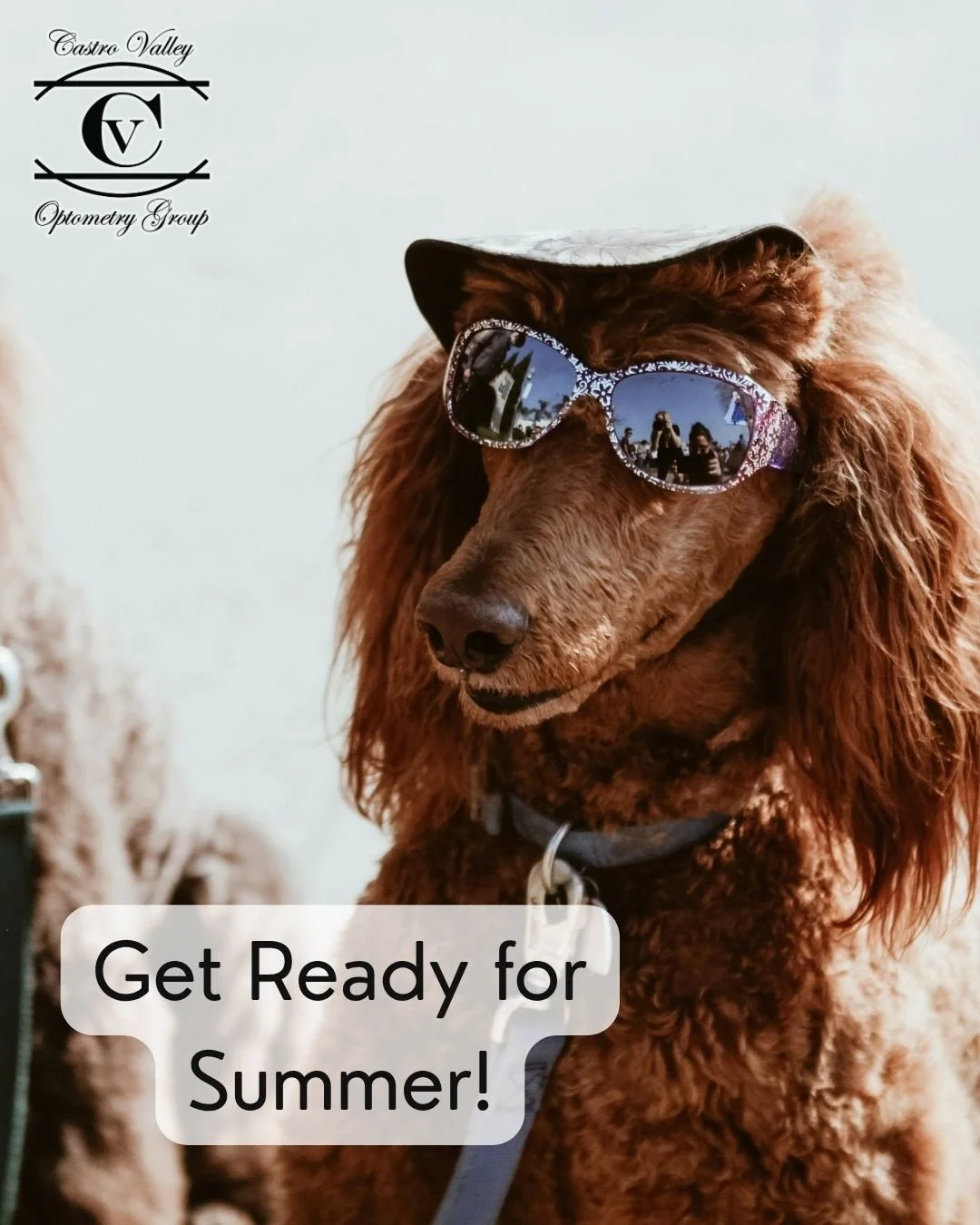 Summer is just around the corner! ☀️🕶️Make sure you&rsquo;re ready with UV-blocking sunglasses to protect your eyes from harmful rays. Visit us to find the perfect pair.

#castrovalleyoptometry #eyehealth #sunglasses #castrovalley #optometry