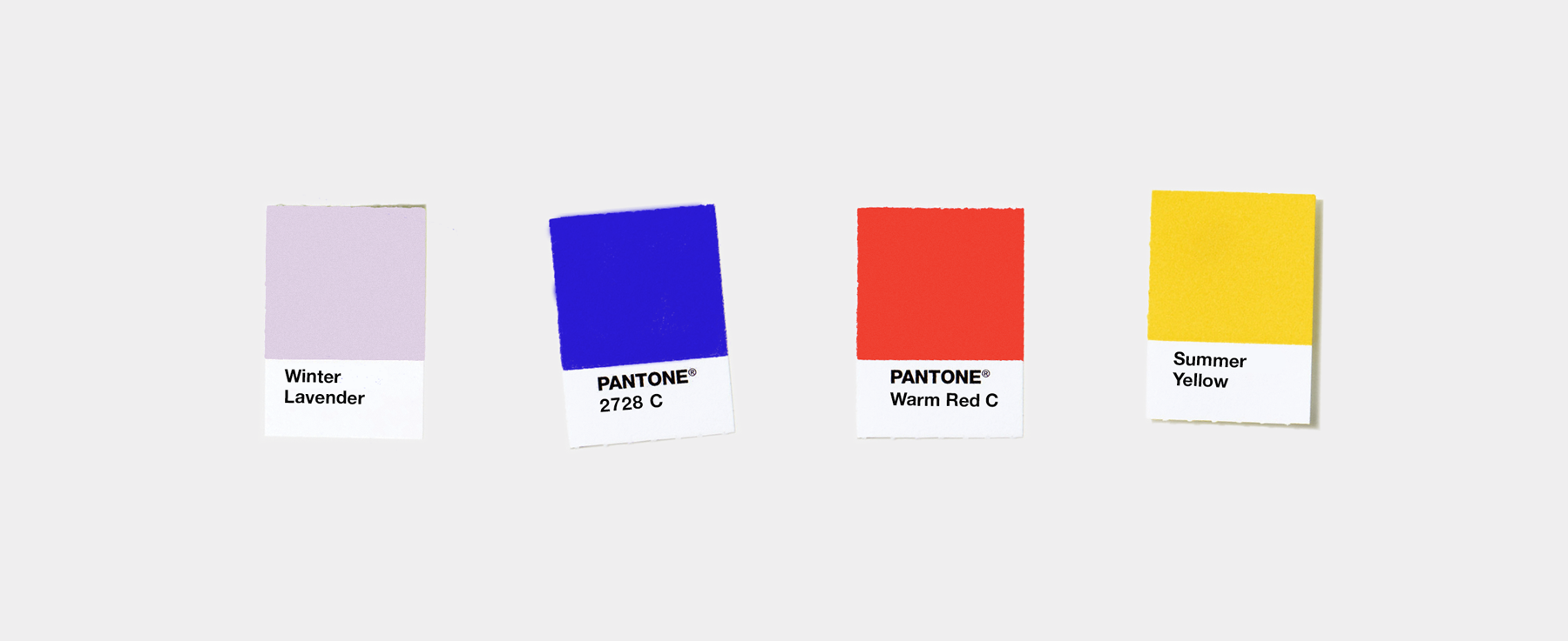 Manhattan Saddlery color palette by Knockout! Studio