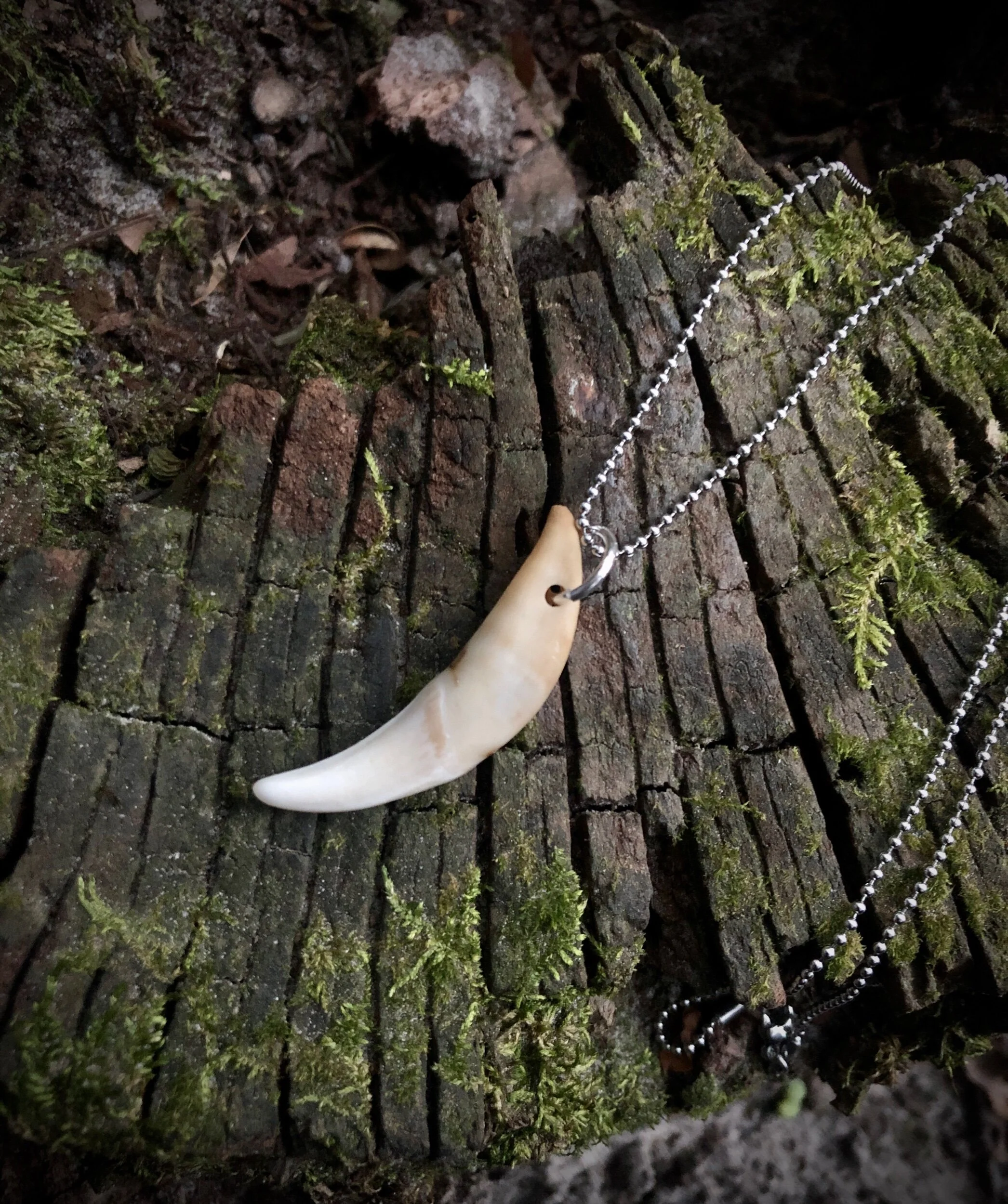 E4960886-F8B5-42F0-B2BE-6ABDECD53478